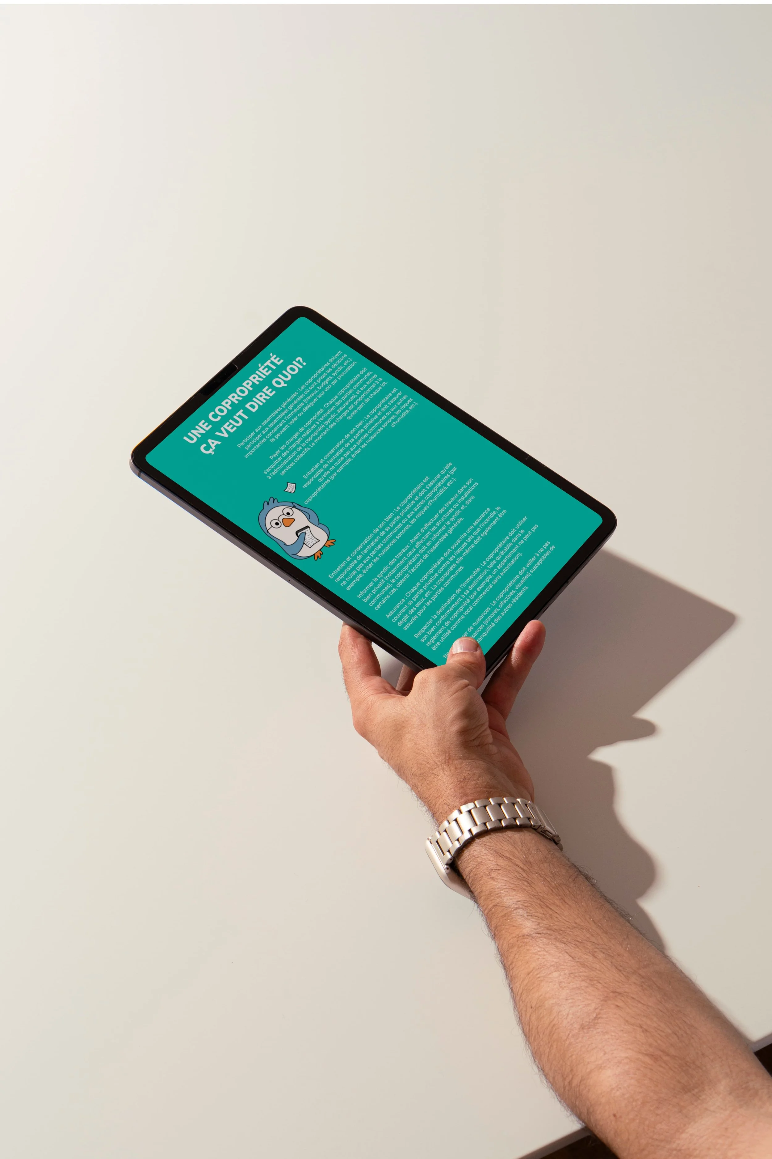 MOCKUP IPAD_AVIVO.jpg