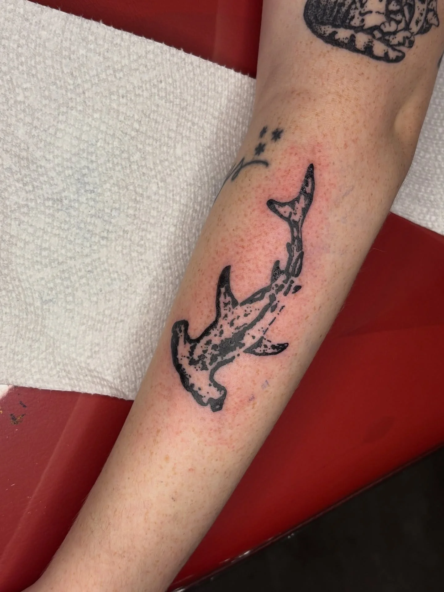 Hammerhead shark from flash for Hayden! 

Busy busy week in my suite :3 ty all so much for finding room for me in your budget 

Booking November

Upcoming events
Oct 6th: Giveaway!! 
Oct 25th: Fundraiser flash event

#tattoos#columbustattooers#flasht