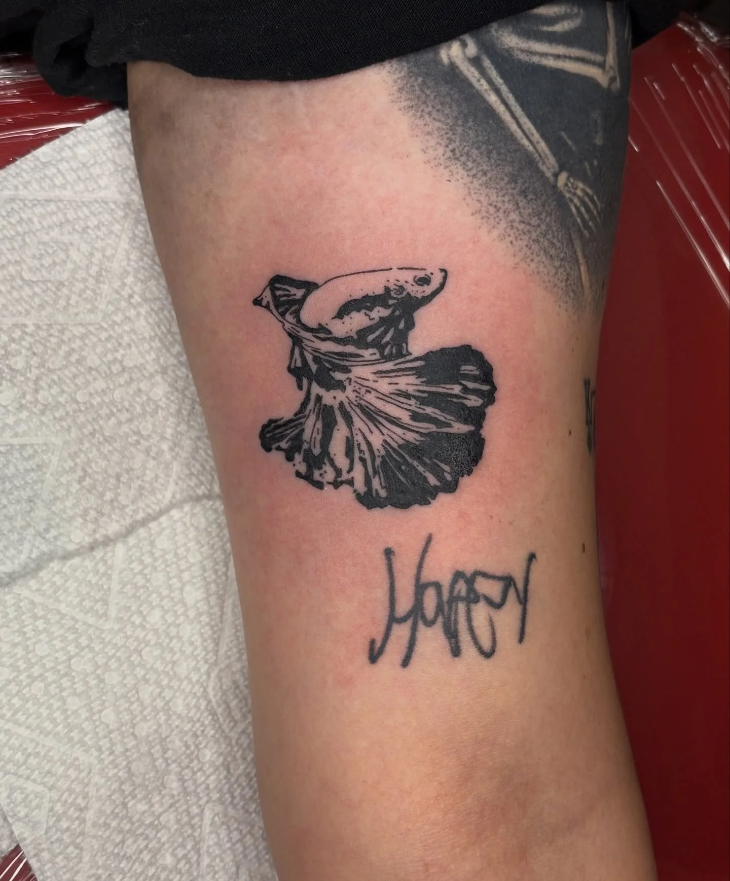Betta fish custom for Olivia!!

Fish have been my absolutely favorite thing to do lately, thank you so much for coming to me!

Booking November

Upcoming Events:
Oct. 6: 2k follower giveaway announcement/begin
Oct. 25: Fundraiser flash event

#tattoo