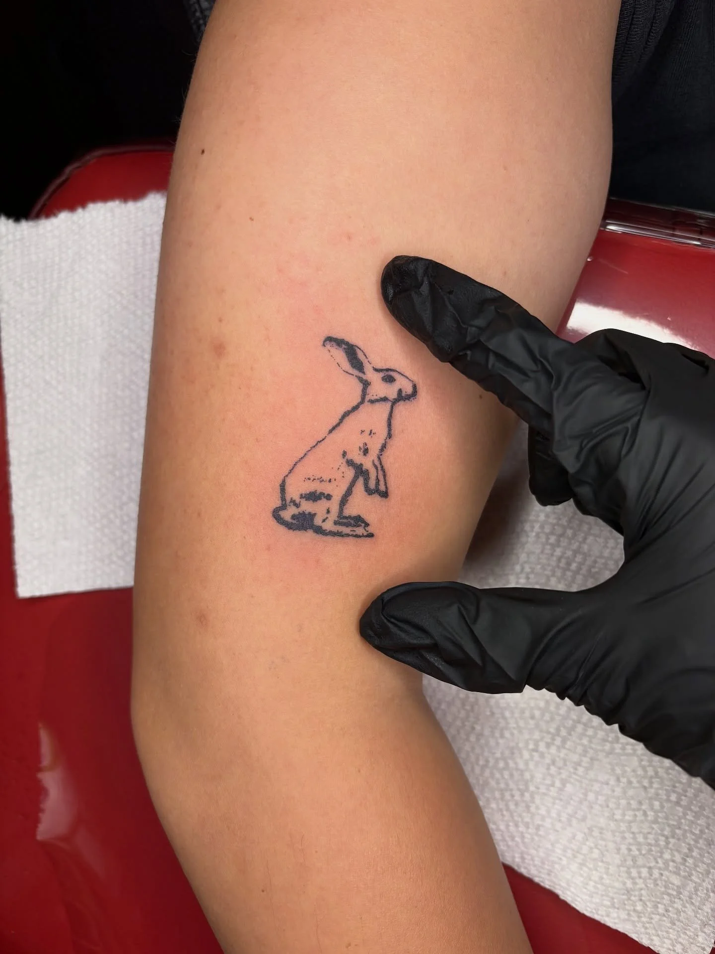 itty bitty bunny from flash for michelle!

tysm for trusting me with your first tattoo it is always such an honor :3 

Booking November

Upcoming Events:
October things 🤯 

#tattoo