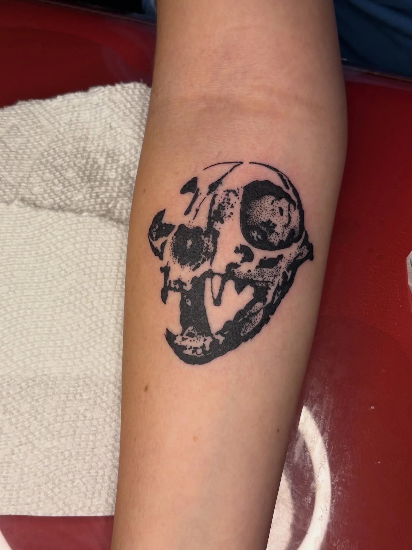 Kitty skull from flash for Kenzie!

I absolutely LOVE skeletons and skeletal stuff it will always be my favorite to do :3 

Booking November

Upcoming Events:
Oct. ??? 2k follower giveaway
Oct. 25: Fundraiser flash event

#tattoos#tattooartists#colum