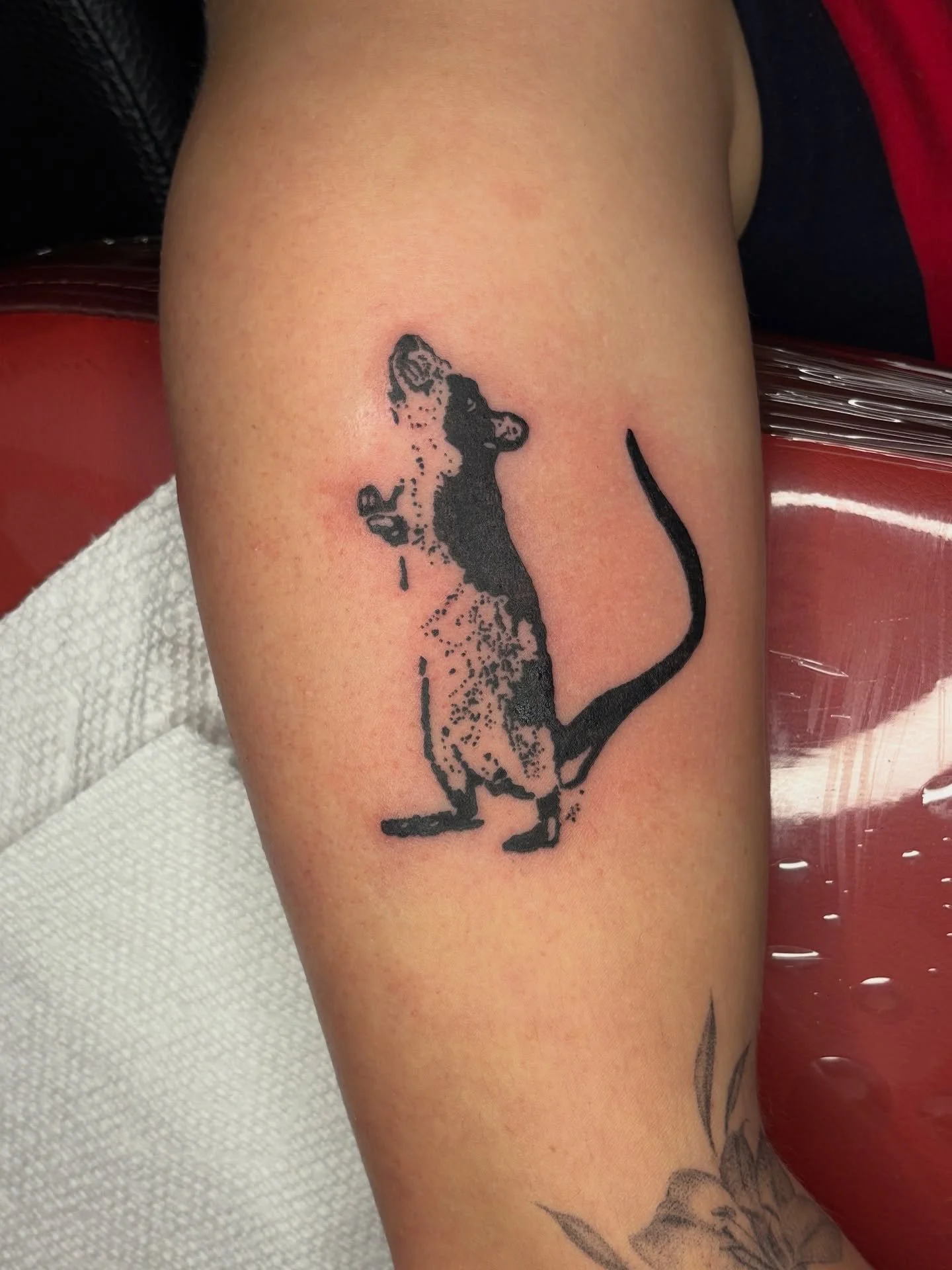 Rat from flash for Lily!

Absolutely love this guy, he's been on my flash for awhile so i'm glad he finally has a person ❤️&zwj;🩹

Booking November

Upcoming Events:
Oct. 18th: Booking open for flash event
Oct. 25th: Fundraiser flash event

#tattoos
