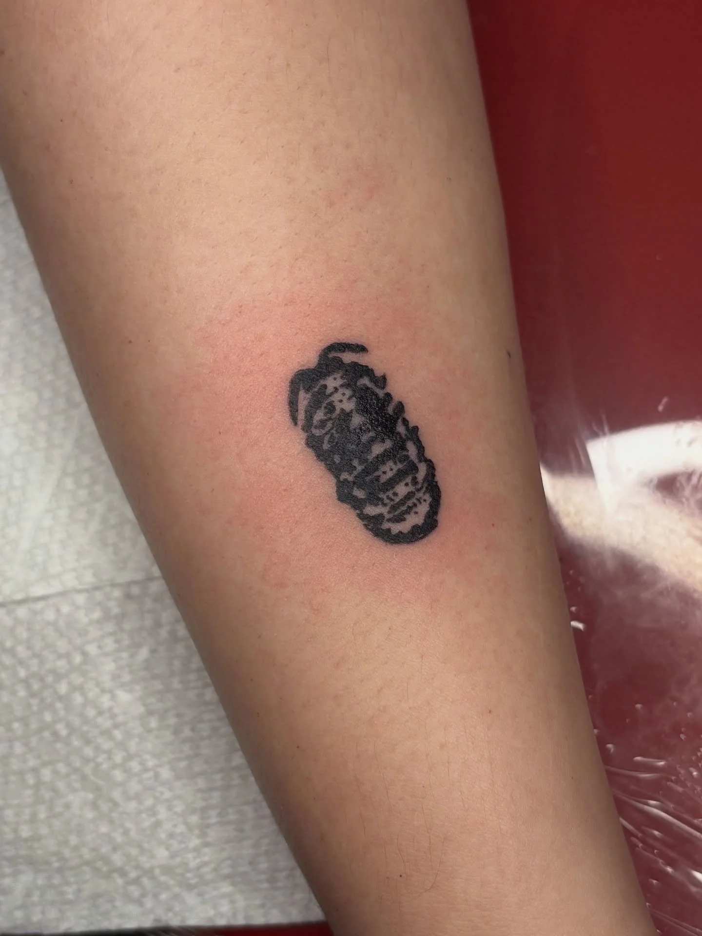 itty bitty isopod for Jessica!

I plan to release new flash ASAP 🤯

Booking November

Upcoming Events:
Oct. 18th: Booking open for flash event
Oct. 25th: Fundraiser flash event
Nov. 2nd: The Market @thefablecollection 

#tattoos#columbustattooers#fl
