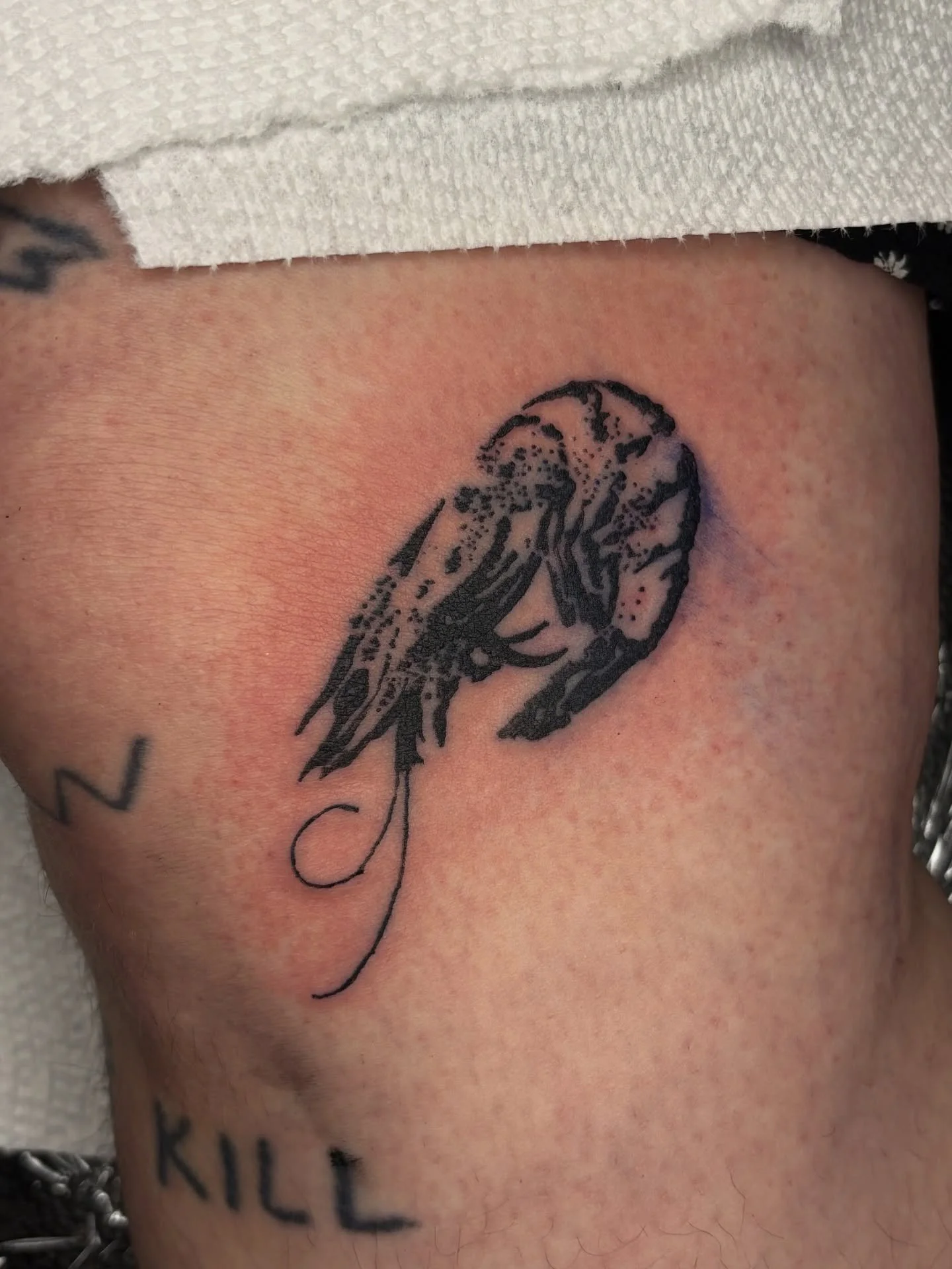 shrimp #3 from flash for Sam!

Booking November

Upcoming Events:
Oct. 25th: Fundraiser flash event
Nov. 2nd: The Market @thefablecollection 

#tattoos#columbustattooers#flashtattoo