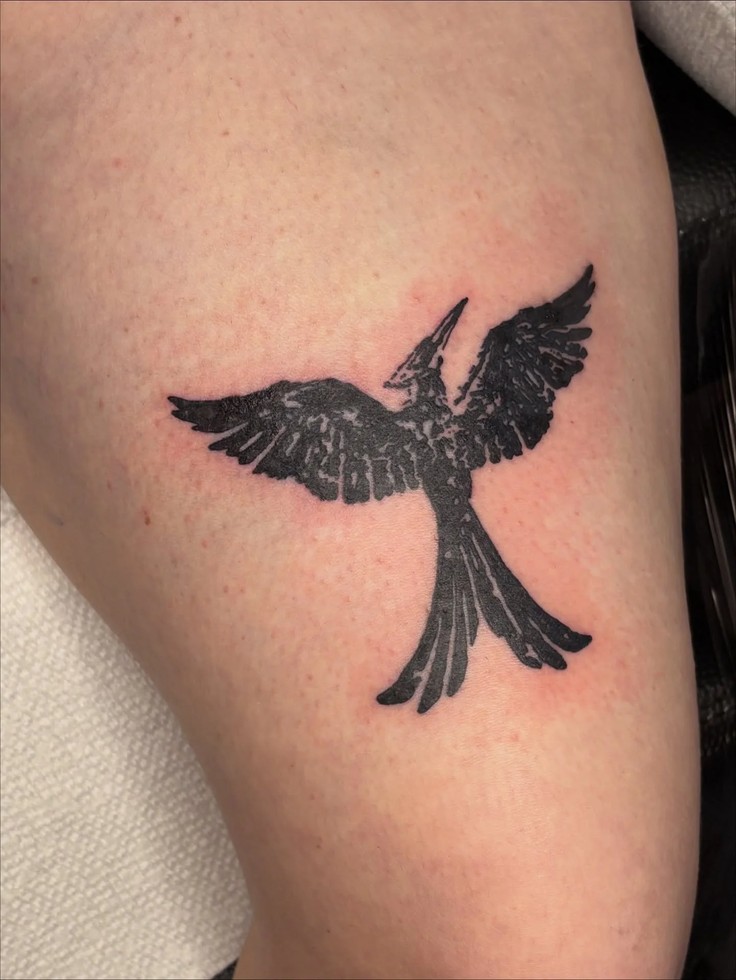 Mockingjay/Photo session trade with @aprilnmast 

I absolutely LOVE April's work please check it out!! She did my current pinned post and profile picture 🤭 

Booking December, dates going fast &gt;_&lt; get ur forms in now for a 2025 appt!

Welcome 