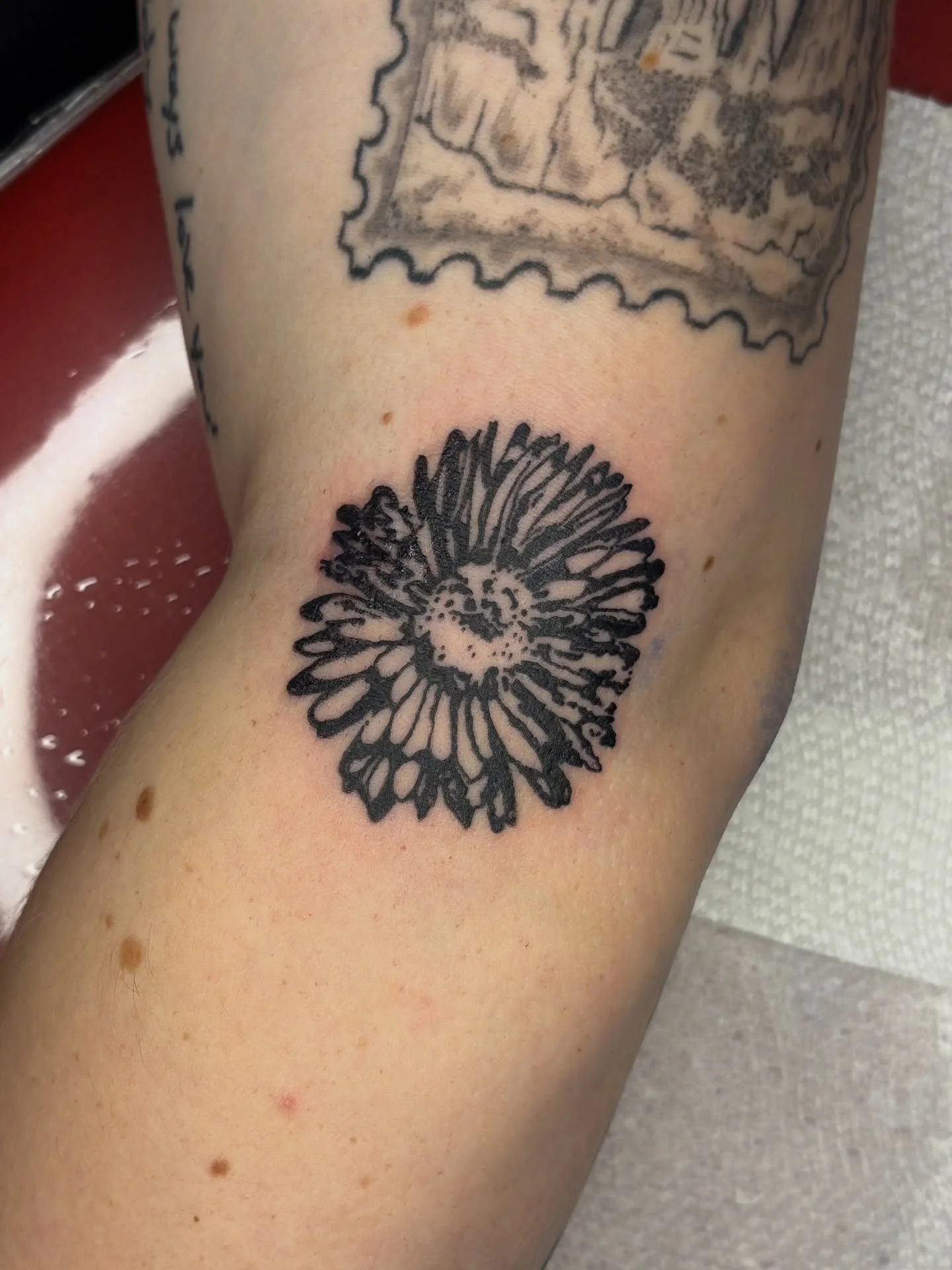 Flower flash for Kylie!

I have had major soup brain lately, very very excited for my flash event on the 22nd!

Booking January

Upcoming Events
11/15 Fundraiser flash release
11/21 Pink Friday @thefablecollection 
11/22 Fundraiser flash event
11/23 