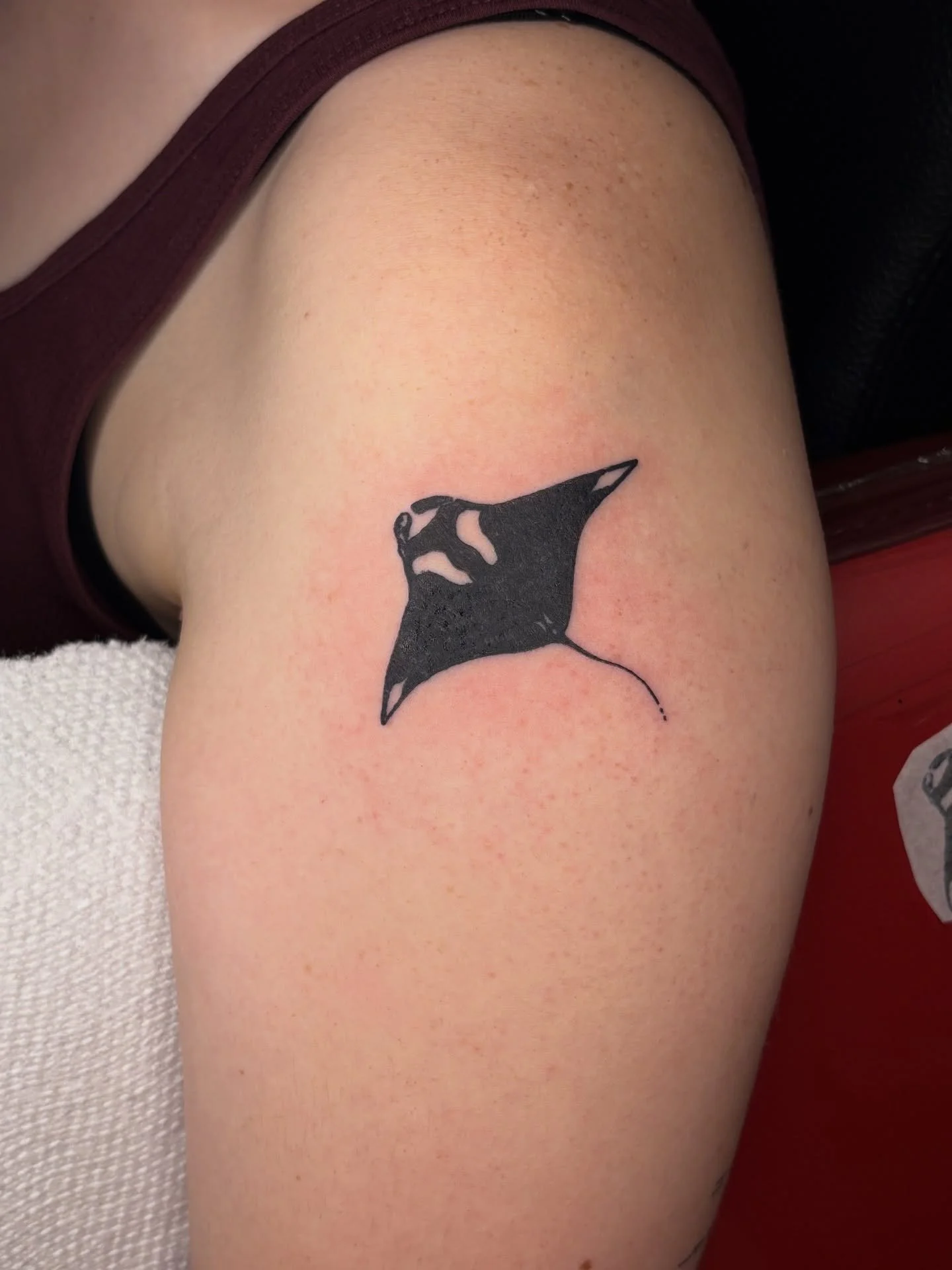 Manta ray flash for Katheryn!!

I love all my sea critters so much, and i'm so happy to keep working on this sleeve for you :3

Booking January

Upcoming Events:
11/15 Fundraiser flash release
11/21 Pink Friday @thefablecollection 
11/22 Fundraiser f