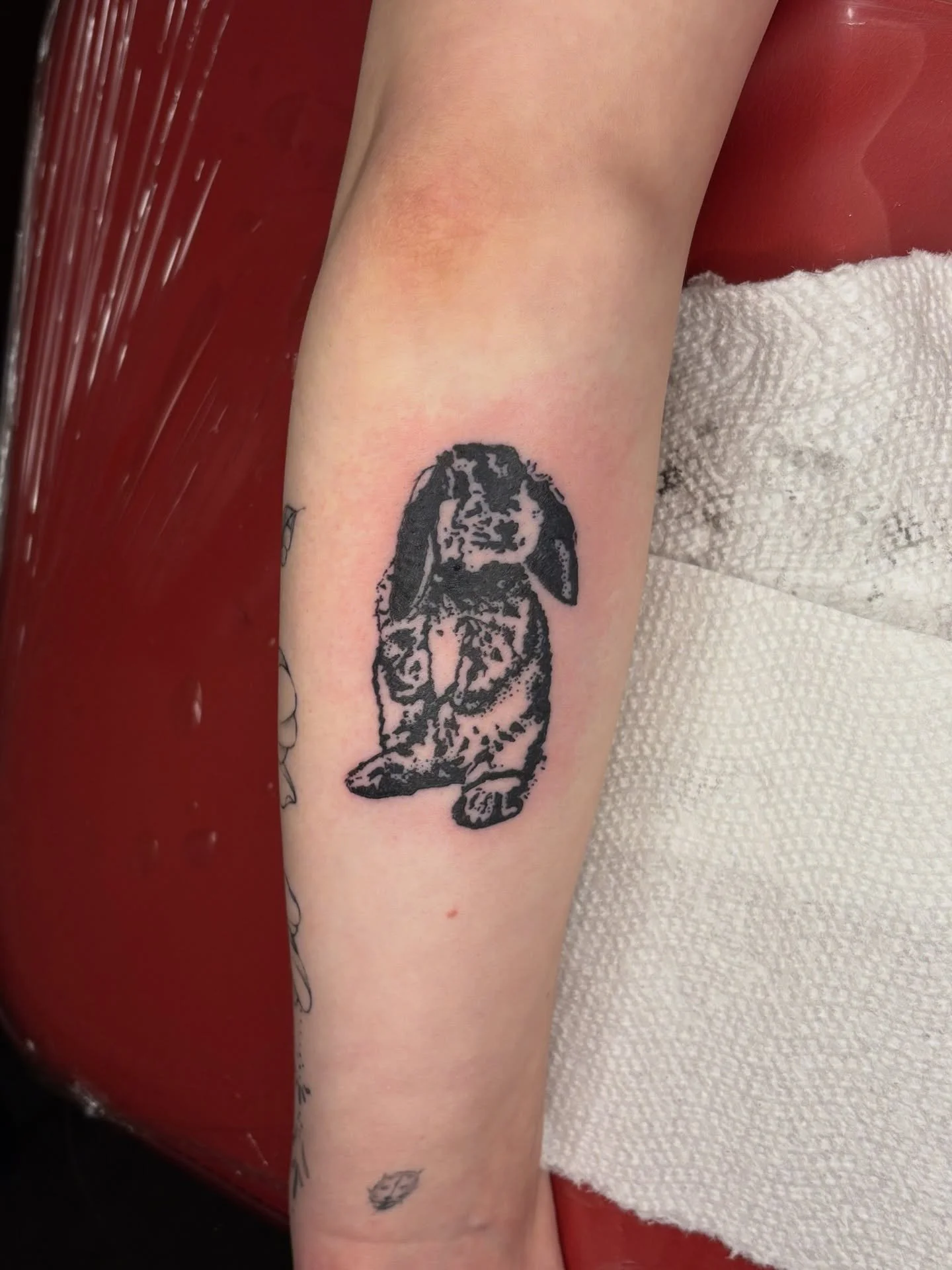 Custom bunny + lash lift and tint trade with @amberatradiatestudio 

This was soo much fun i love to do a service based trade so much ❤️❤️❤️ 
I drew up this custom bunny for amber and she lifted and tinted my lashes and i looove the results sm

Booki