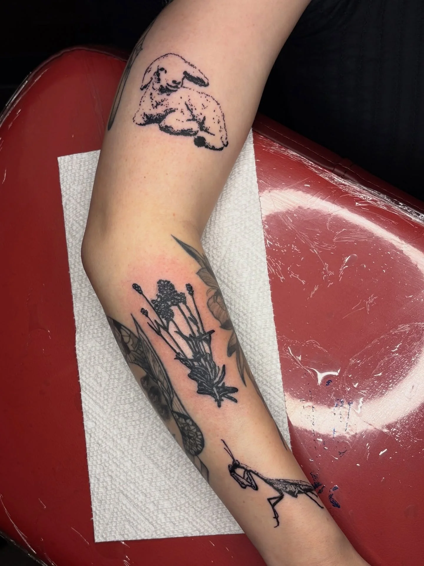 2 flash pieces and a custom mantis for Olivia!

I am obsessed with how all of these came out, the mantis is definitely my favorite 🤭
Thank you so much for getting my flash designs ❤️

Upcoming Events:
12/01 Holiday $50 flash tattoo release
12/13 Hol