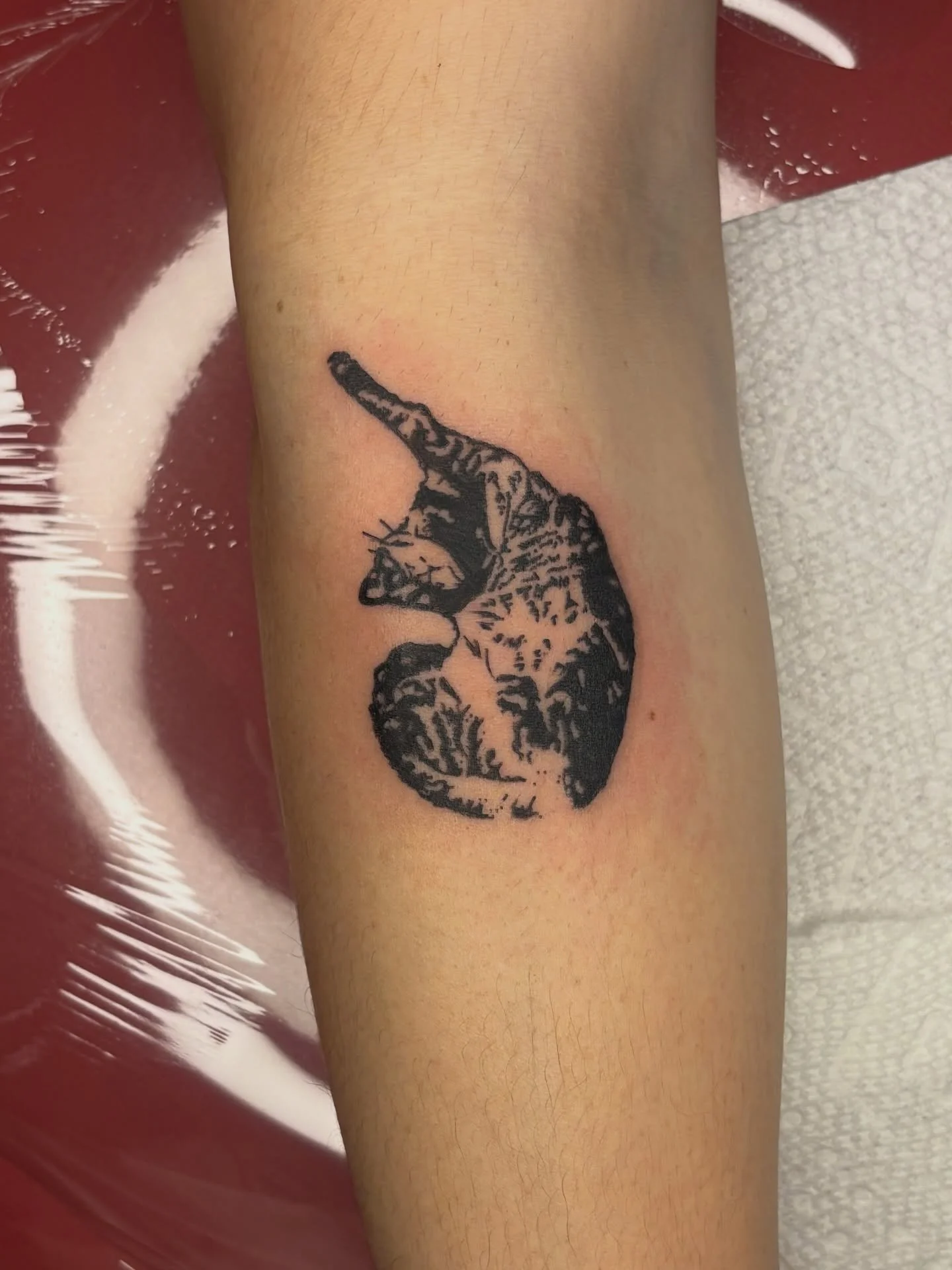 Custom of poppy for Mallory!

I LOVE using your pets as reference photos, more please!

Booking March

Upcoming events:
February 13th: $31 flash tattoos

#blackworktattoo#cattattoo#petportrait#tattooers#tattooartist