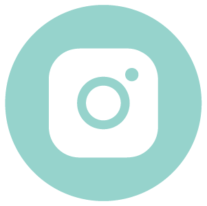 Instagram Icon