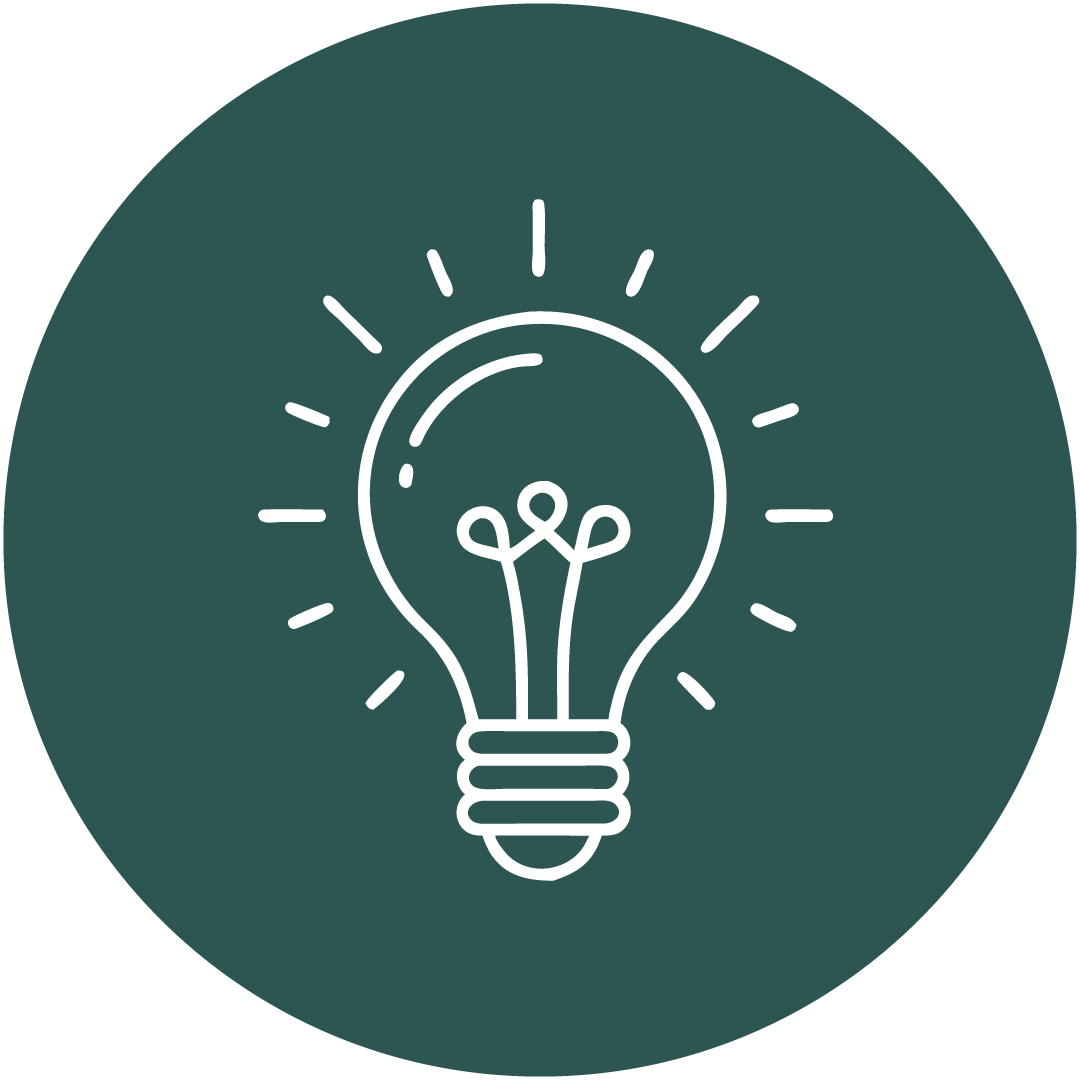 Lightbulb icon