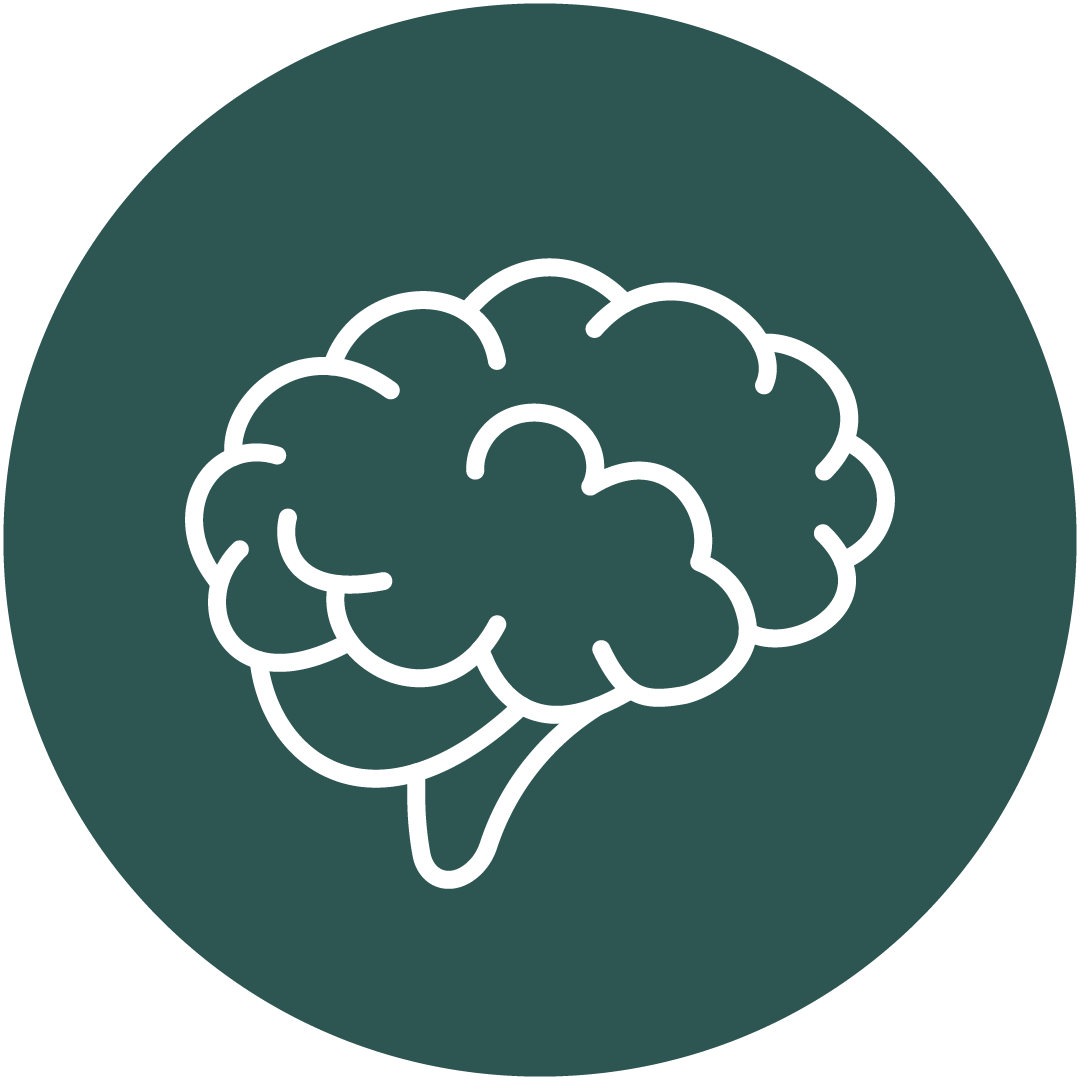 Brain icon