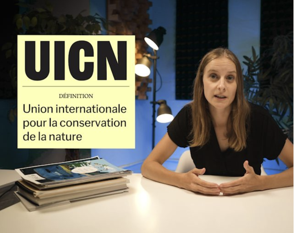 Une femme assise à une table, avec un panneau indiquant 'UICN' et leur définition, dans un environnement intérieur avec des plantes et un éclairage professionnel.