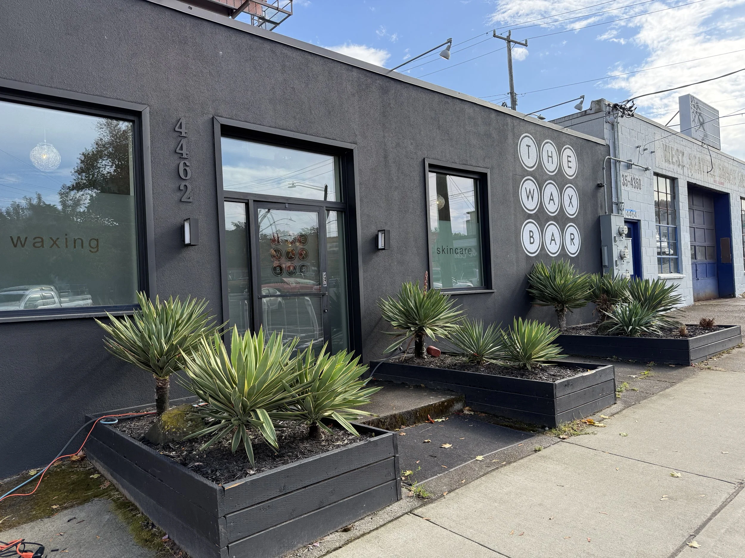 Exterior of a storefront with dark gray walls and large windows, with the sign reading 'The Wax Bar'. There are three large potted plants in black planters outside. The building has street number 4462, and there are words 'waxing' and 'skincare' on t