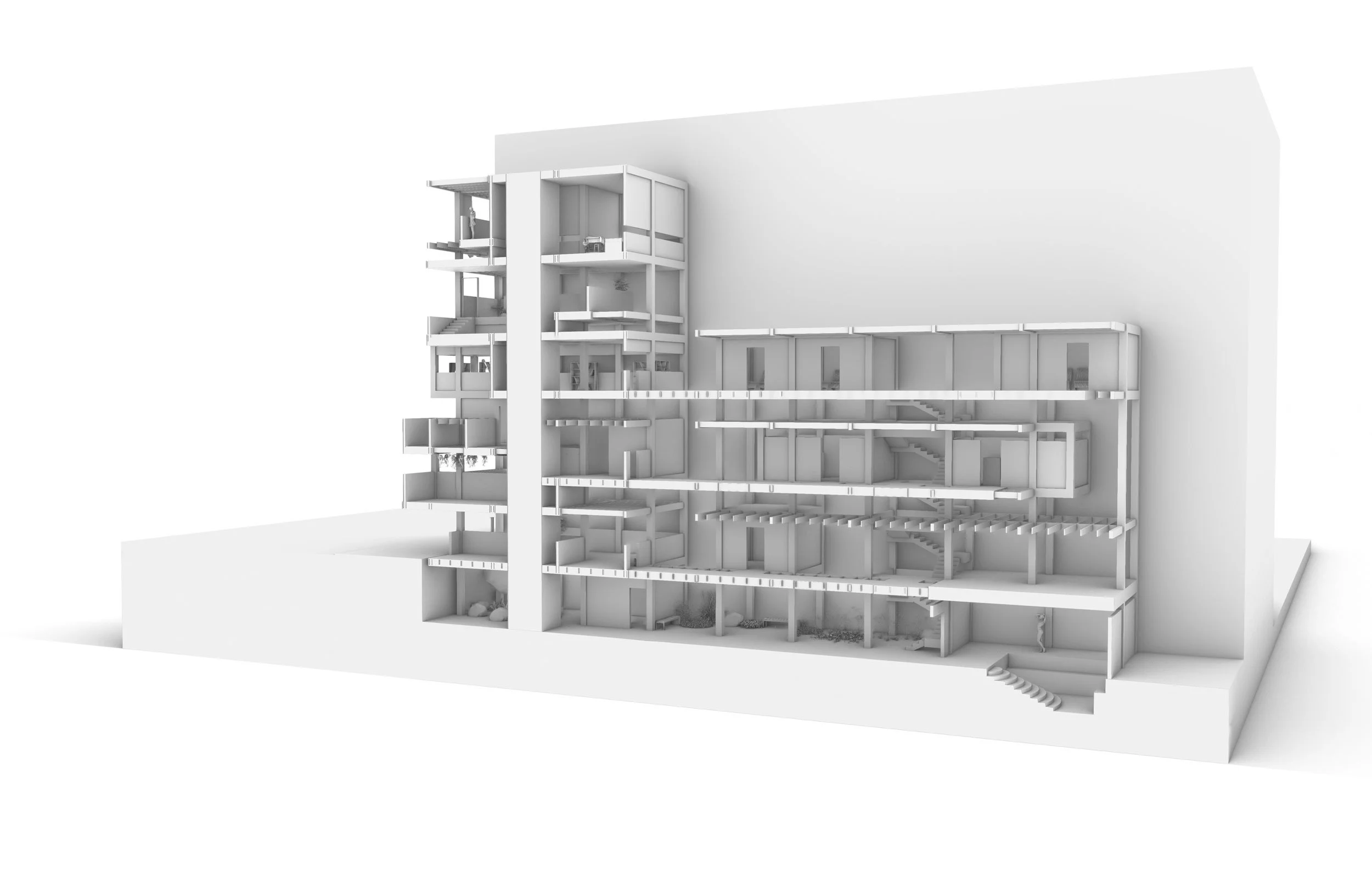 Orthographic Section
