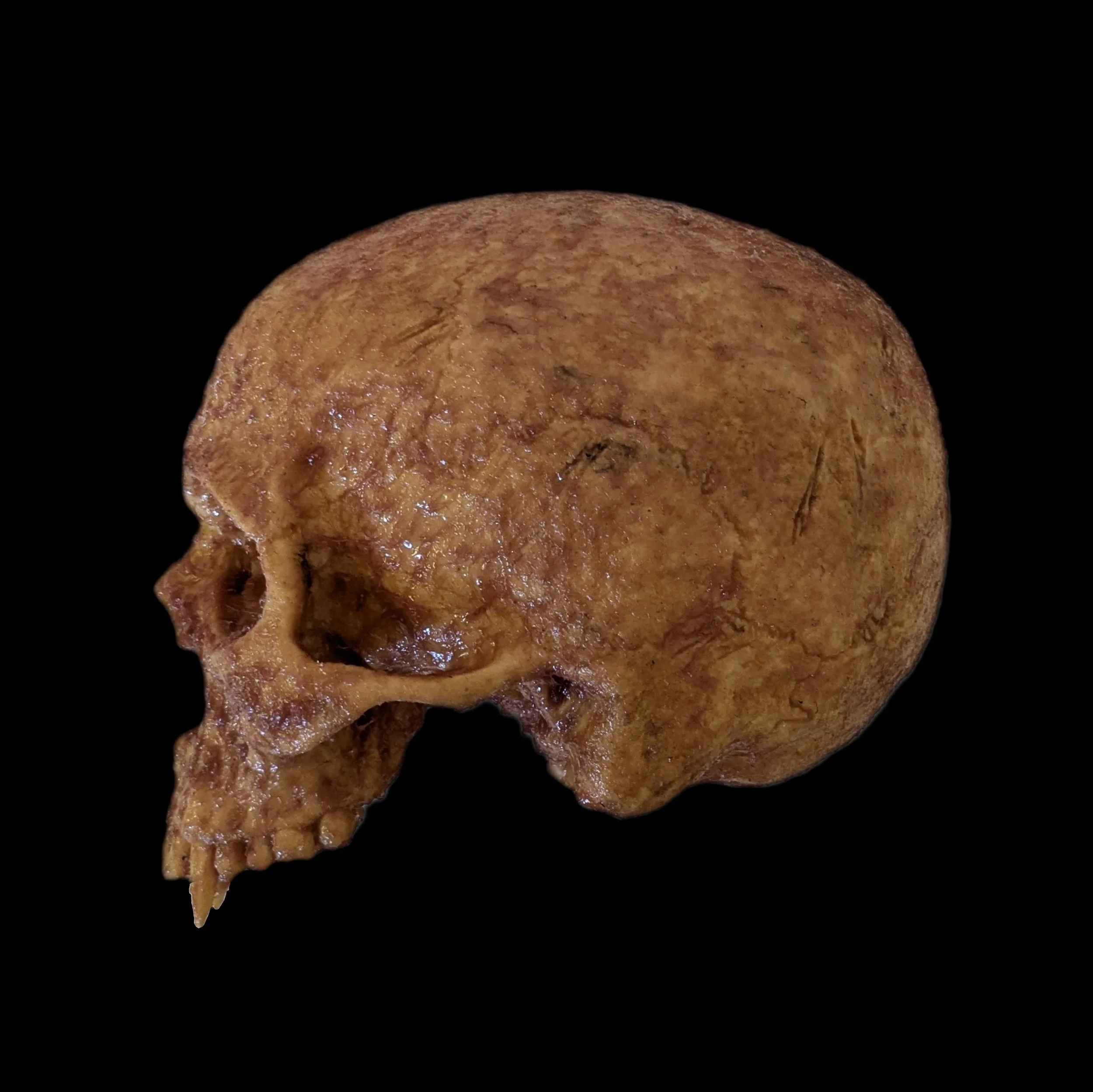 Left Side Black Background.jpg