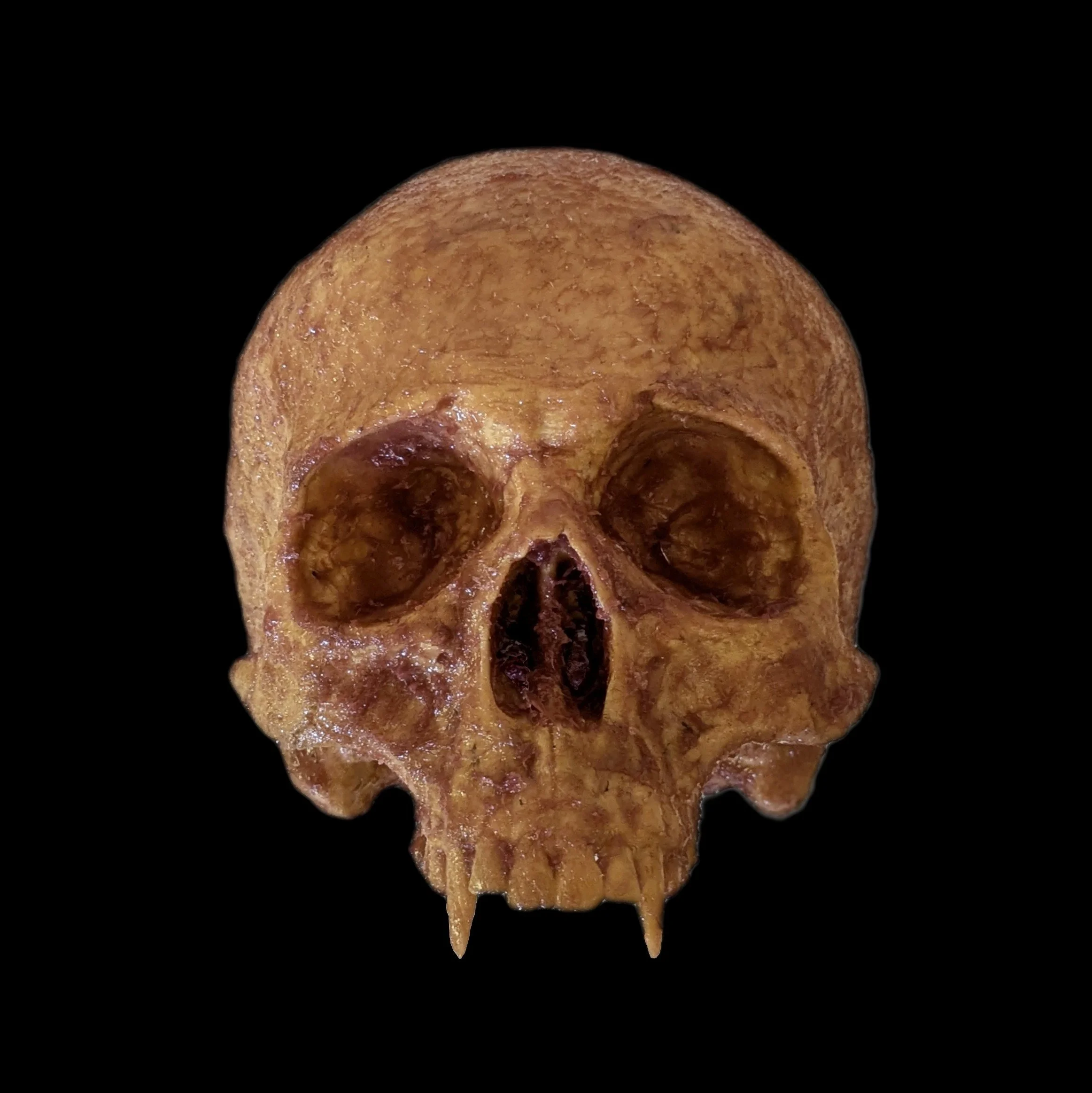 Front View Black Background.jpg