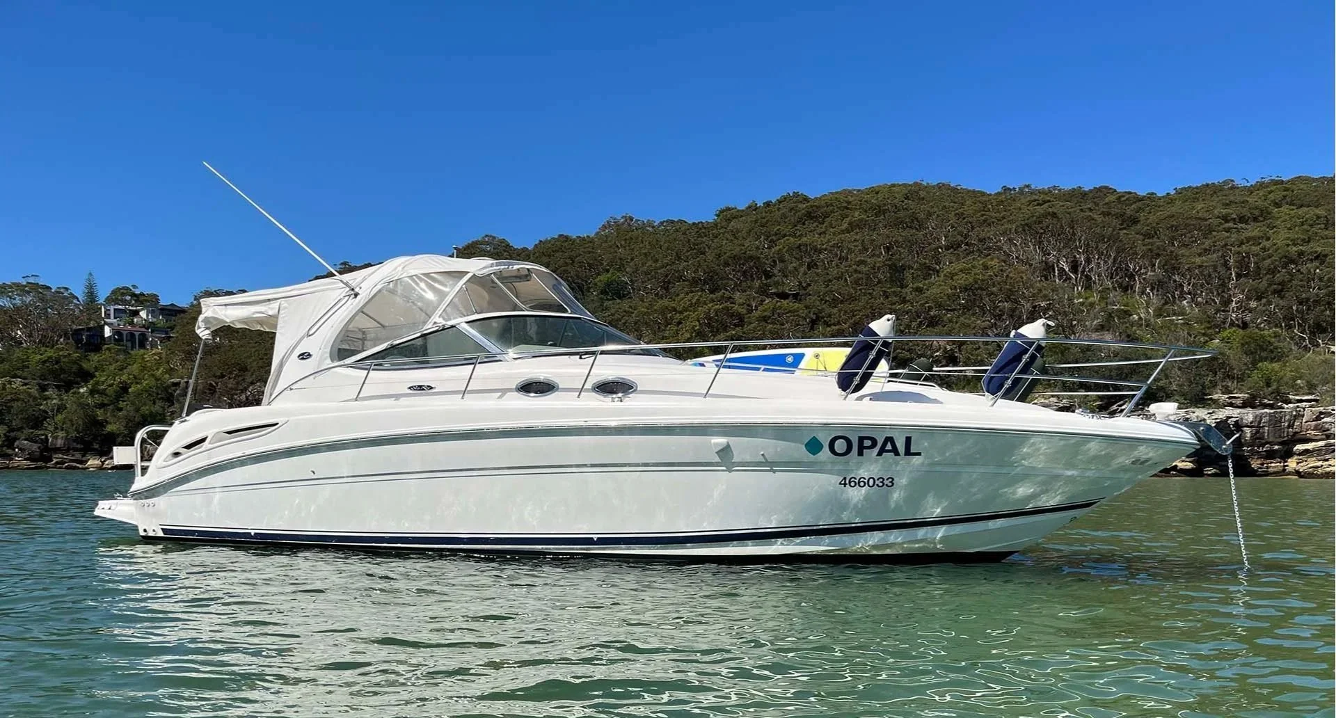 Private Sydney Harbour boat charter aboard the Sea Ray 395 “Opal”, anchored in calm water with a natural bushland shoreline