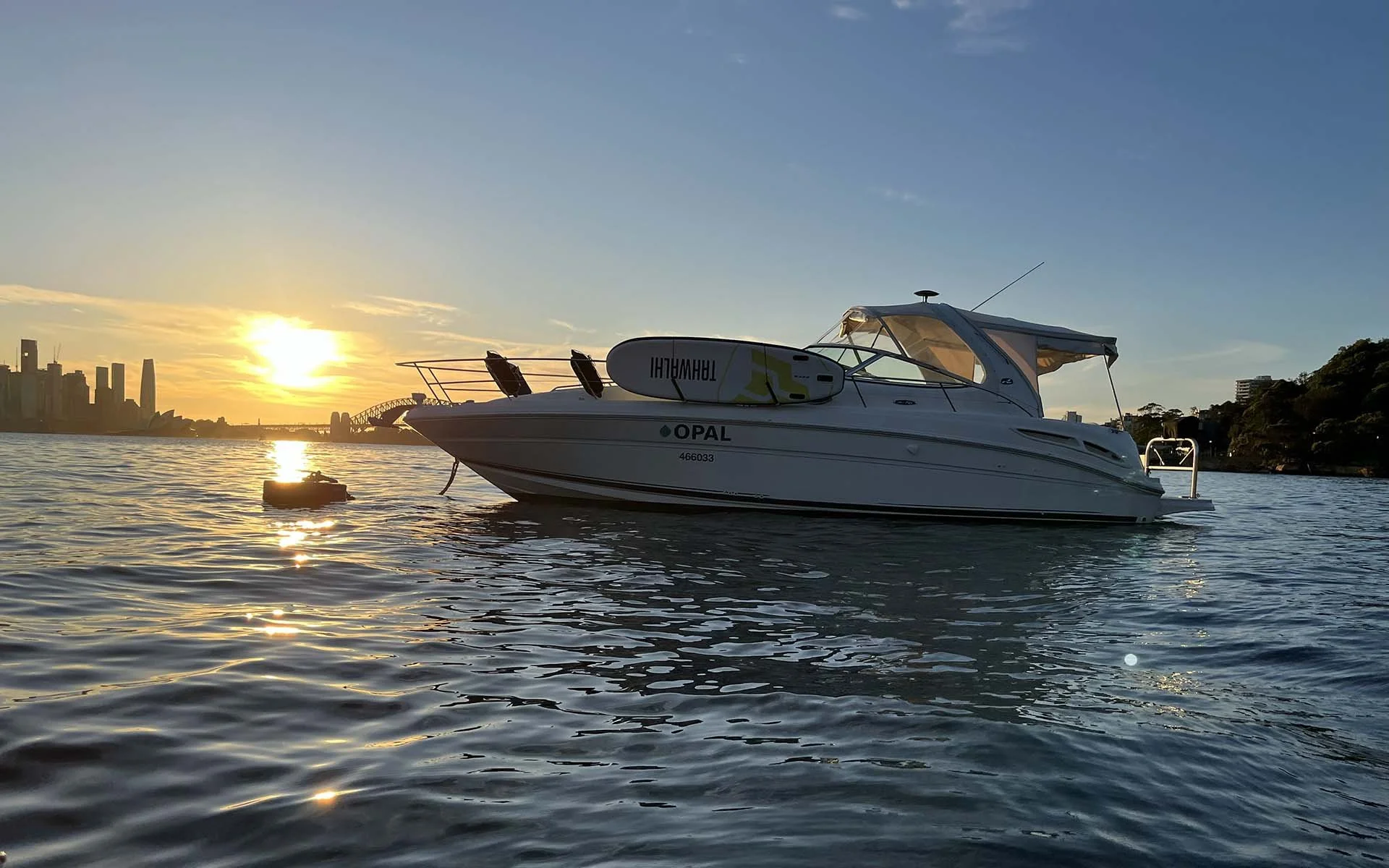 Opal floating on calm water during sunset, with a city skyline and bridge silhouette in the distance.