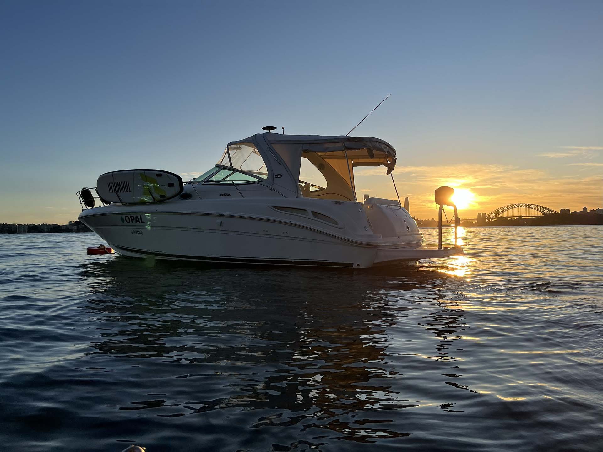 Opal floating on the water during sunset, with the sun low on the horizon and a harbour bridge in the distance.