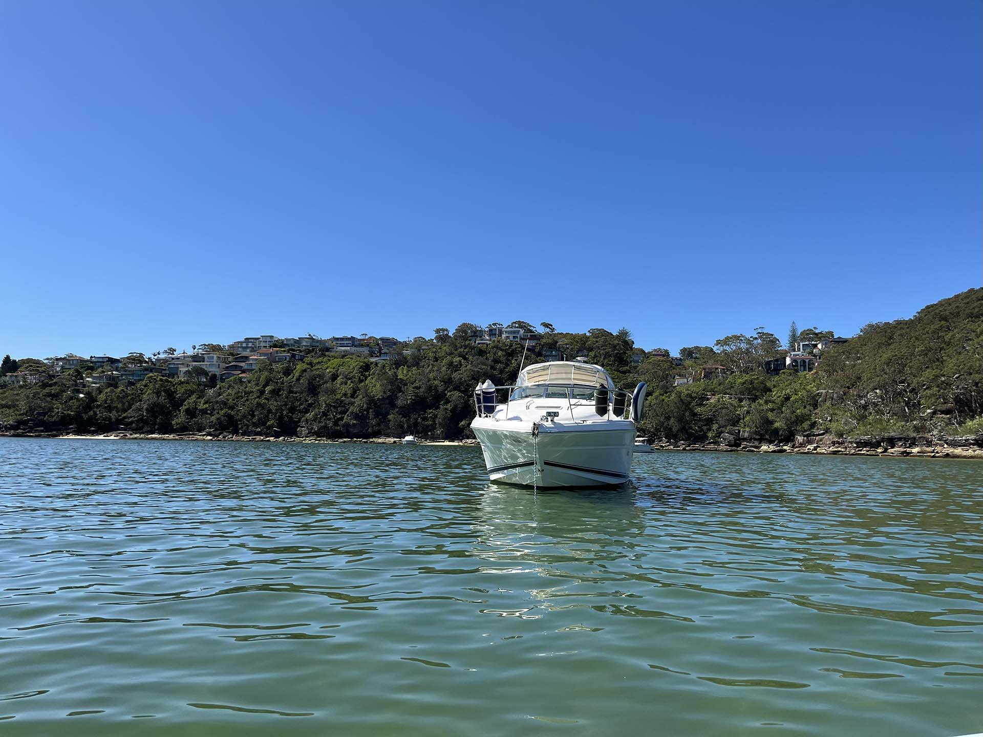 Opal floating on calm water under a clear blue sky.