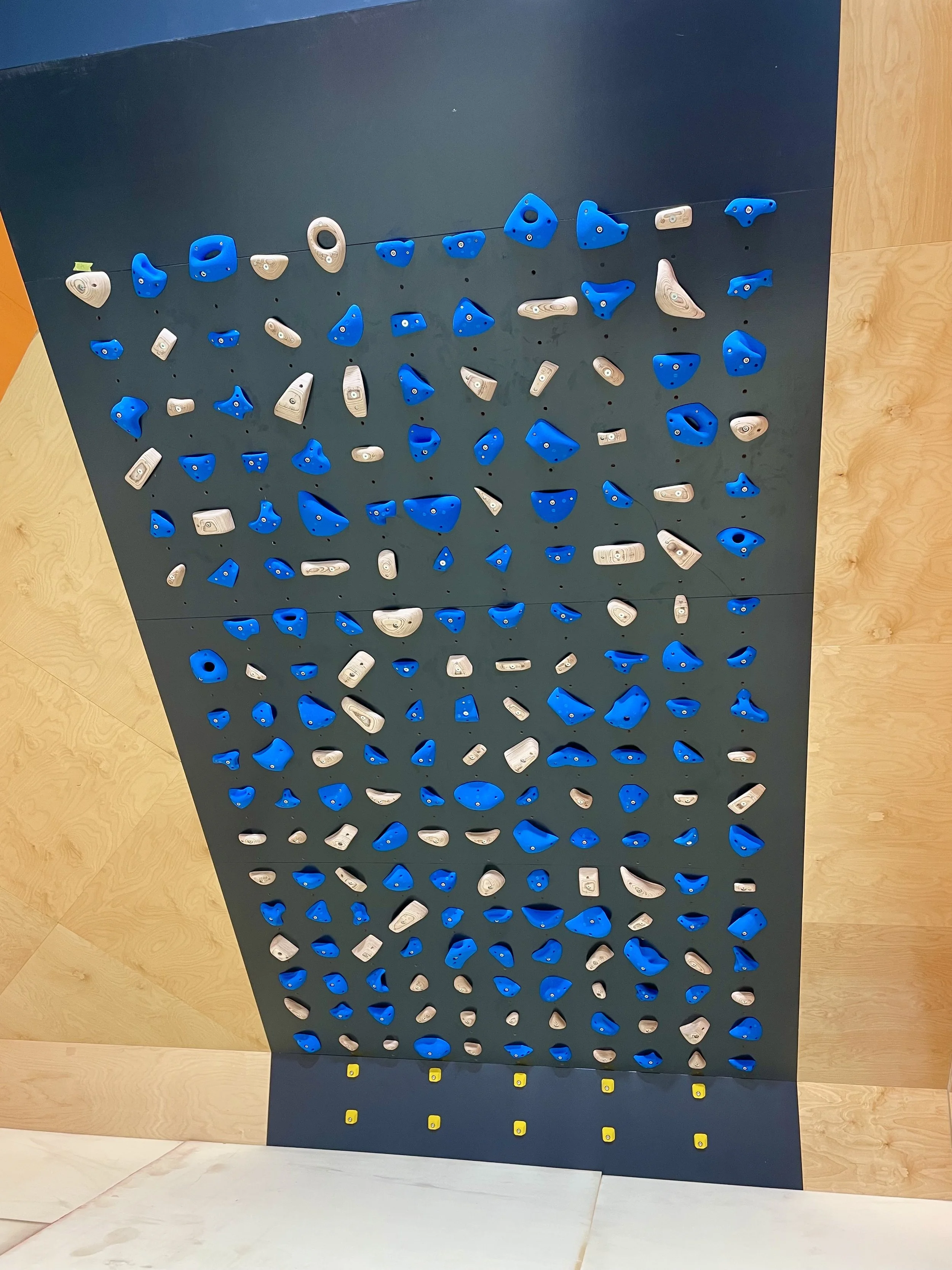 Indoor rock climbing wall with numerous blue and beige climbing holds arranged in various routes.