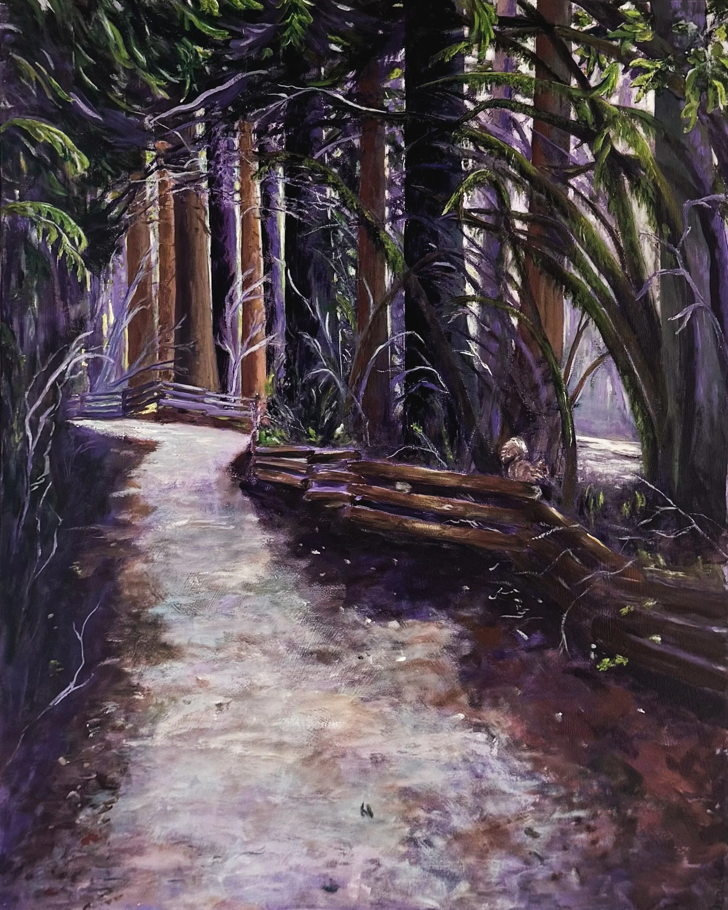 Winter's Trail - Same trail but the light and colours are away for the winter. Even in winter it's a wonderful place to find yourself.