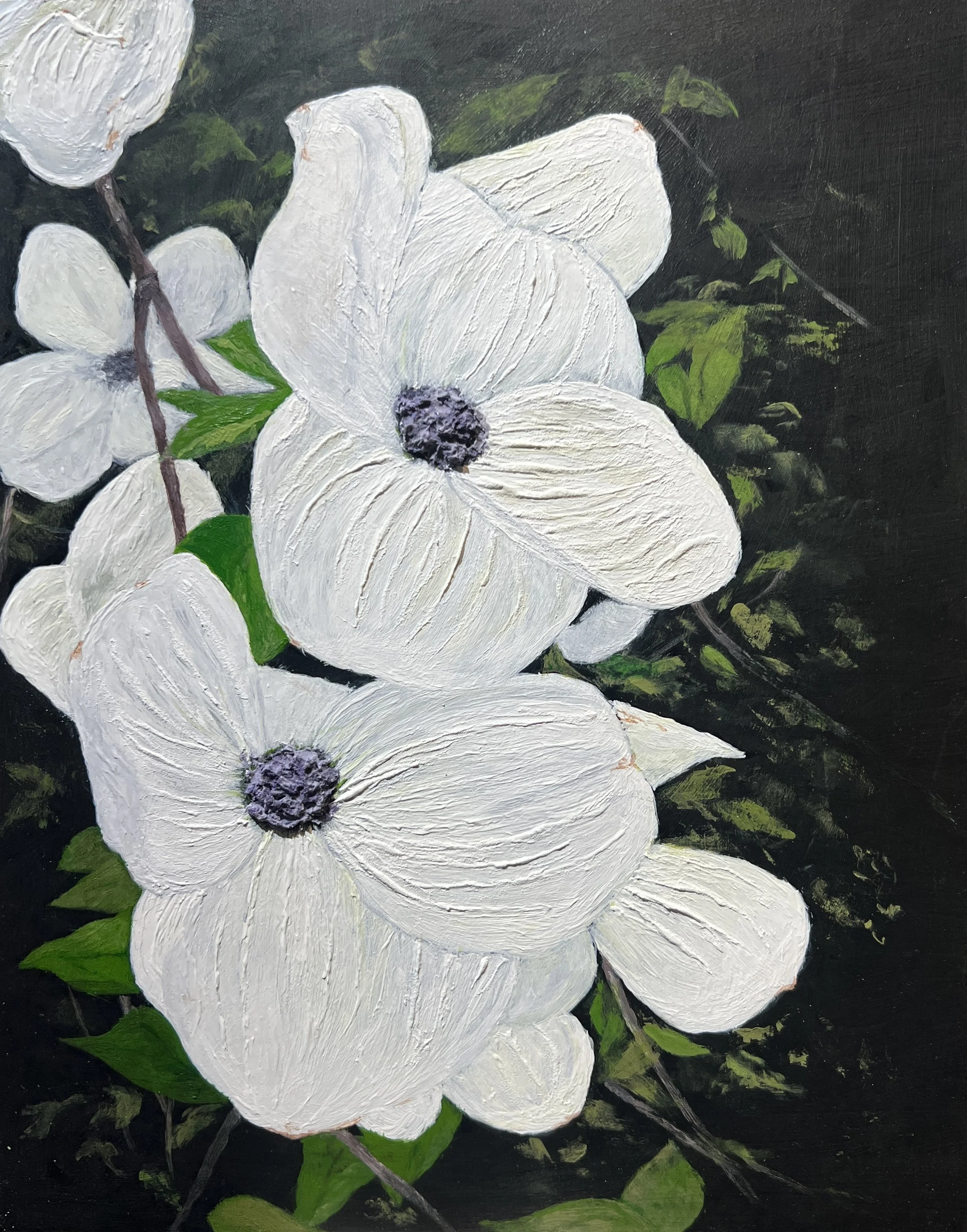 Dogwood