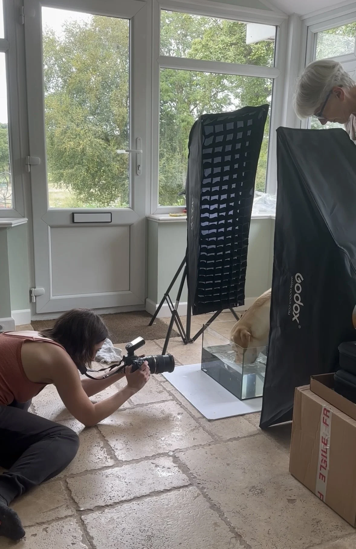 A woman is lying on the floor taking a close-up photograph of a yellow Labrador Retriever that is sniffing inside a glass container. The scene appears to be a pet photoshoot with professional lighting equipment, set inside a room with large windows showing green trees outside.