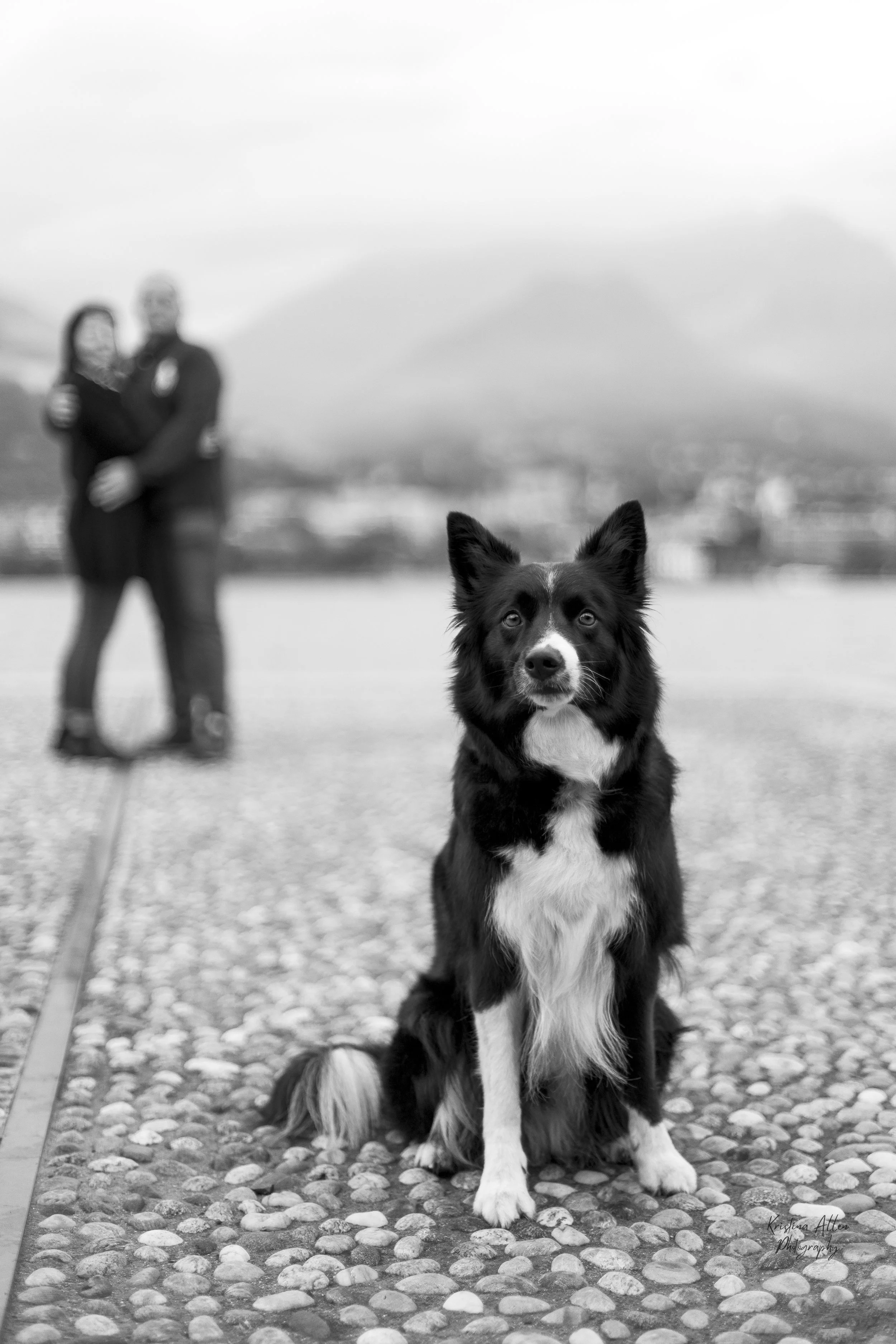 A black and white photo of a border collie sitting on rocky ground in the foreground with two people and mountains blurred in the background.