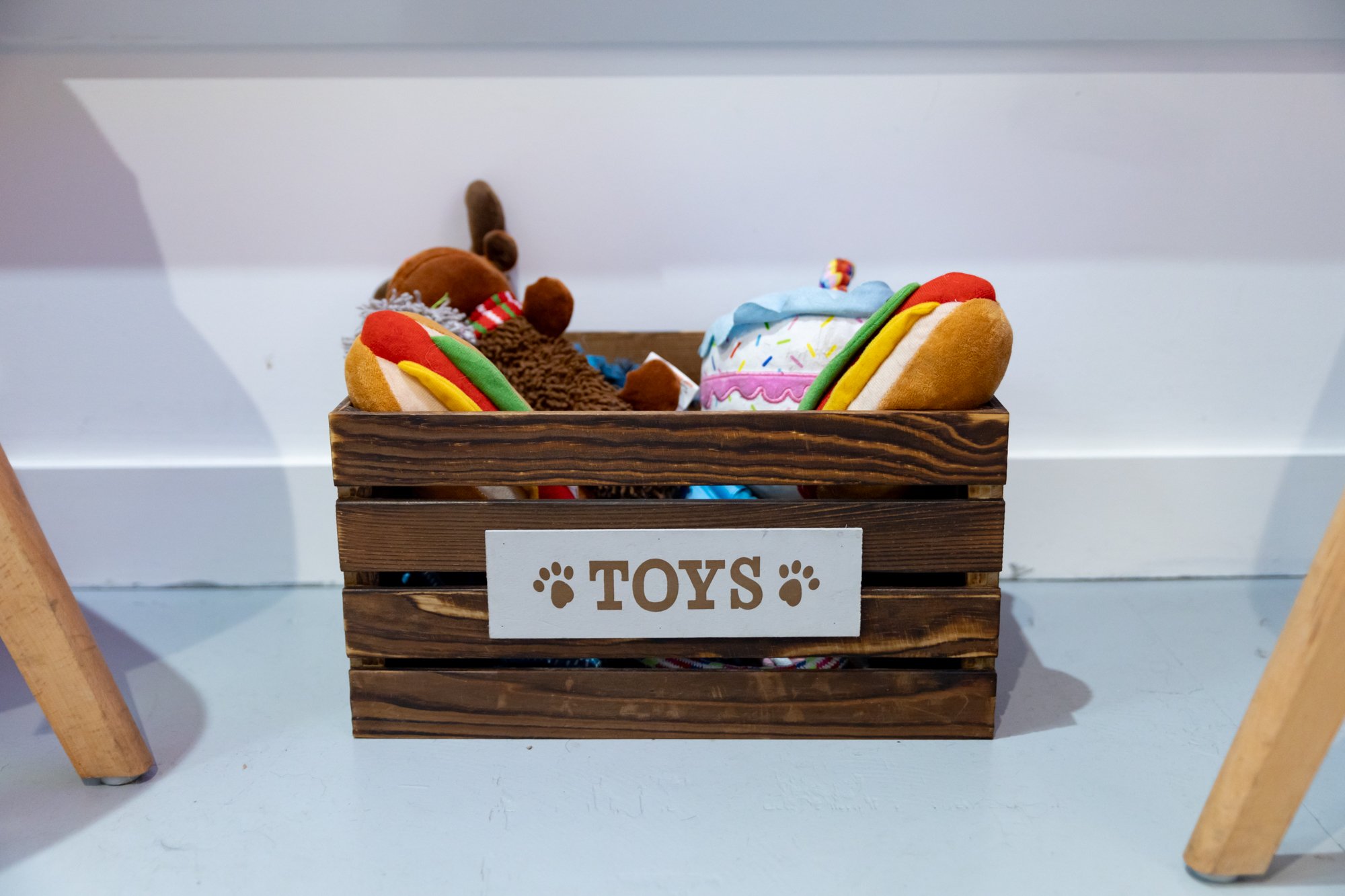 Why It’s Important to Instil Toy Drive in Your Puppy (and How to Do It)