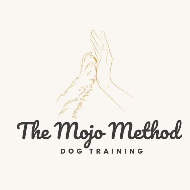 🐾✨ Welcome to The Mojo Method Dog Training ✨🐾

I&rsquo;m Kris &mdash; dog trainer, dog walker, and ex-professional dog photographer turned full-time canine communicator 💛

After years of working behind the lens, capturing the bond between dogs and