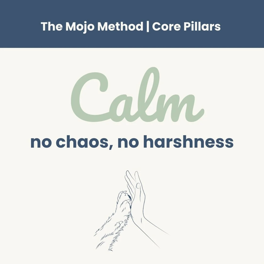 The Mojo Method is built on three core pillars 🐾

These guide every session, every walk, and every training plan I create&hellip;

🌿 Calm
No chaos. No harshness.
Calm training helps dogs feel safe enough to learn &mdash; reducing overwhelm, frustra
