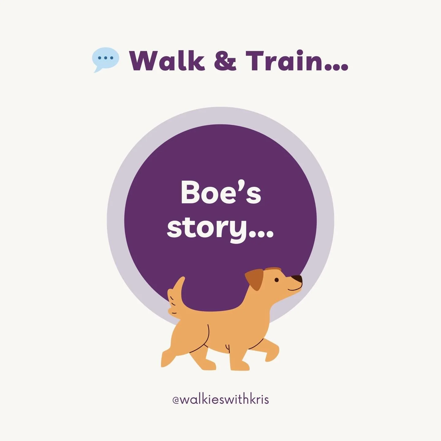 ✨ Boe&rsquo;s Walk &amp; Train journey ✨

Boe is a bright, strong-willed adolescent pup who found lead walking really hard at first. Big feelings, lots of excitement, and very little focus on the lead 🐶💨

Through consistent Walk &amp; Train session