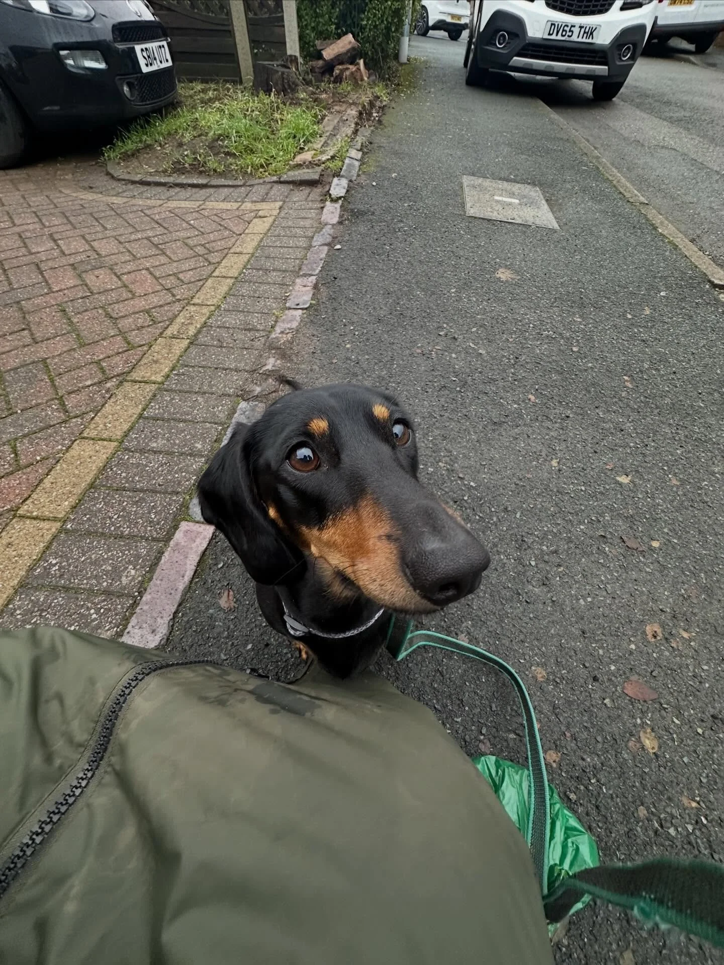 🐾 Welcome to the pack, Dash! 🐾

Say hello to Dash, the gorgeous little dachshund who&rsquo;s just joined my Walk &amp; Train pack ✨

Dash has started working with me to build confidence and improve his loose lead walking, and he&rsquo;s already sho