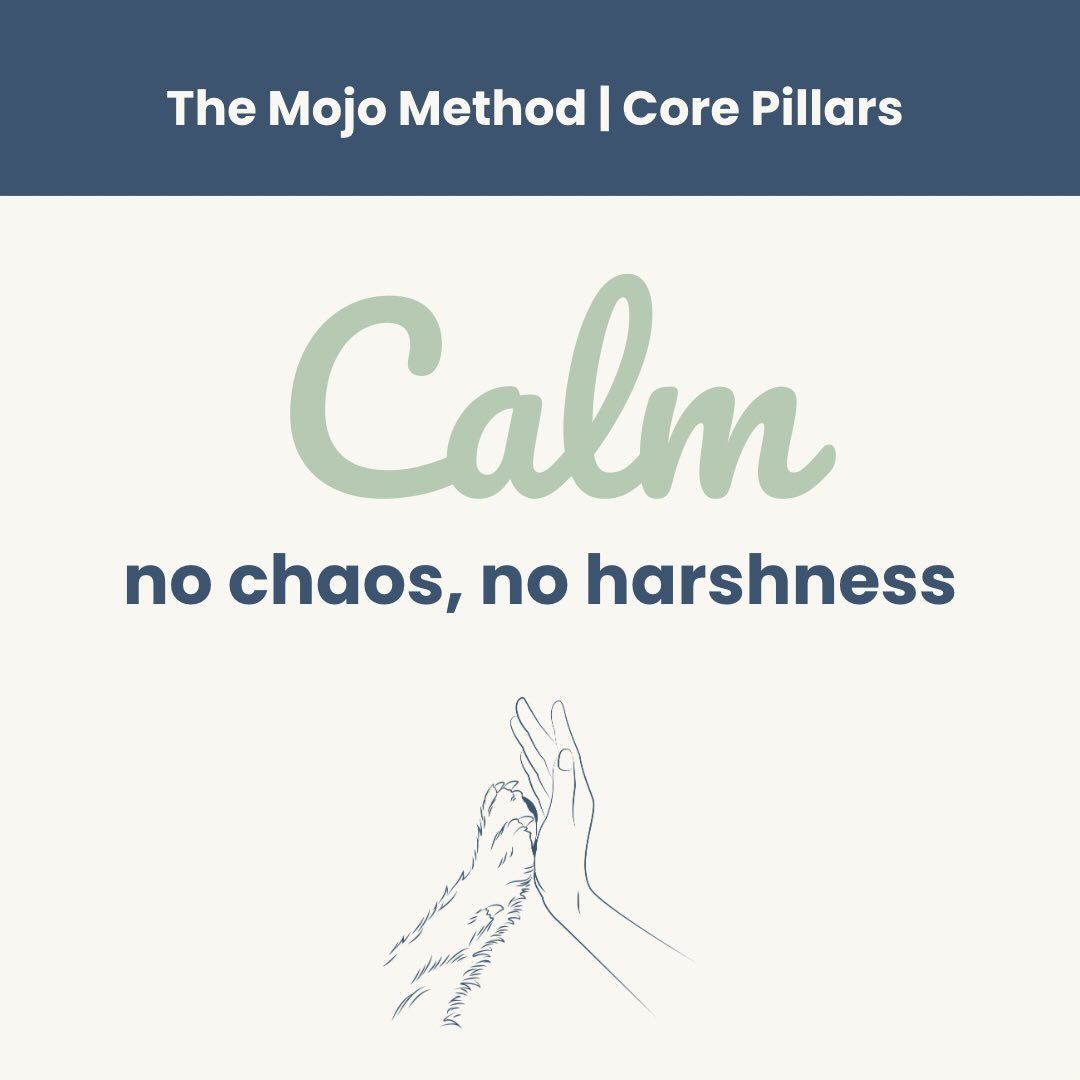 The Mojo Method is built on three core pillars 🐾

These guide every session, every walk, and every training plan I create&hellip;

🌿 Calm
No chaos. No harshness.
Calm training helps dogs feel safe enough to learn &mdash; reducing overwhelm, frustra