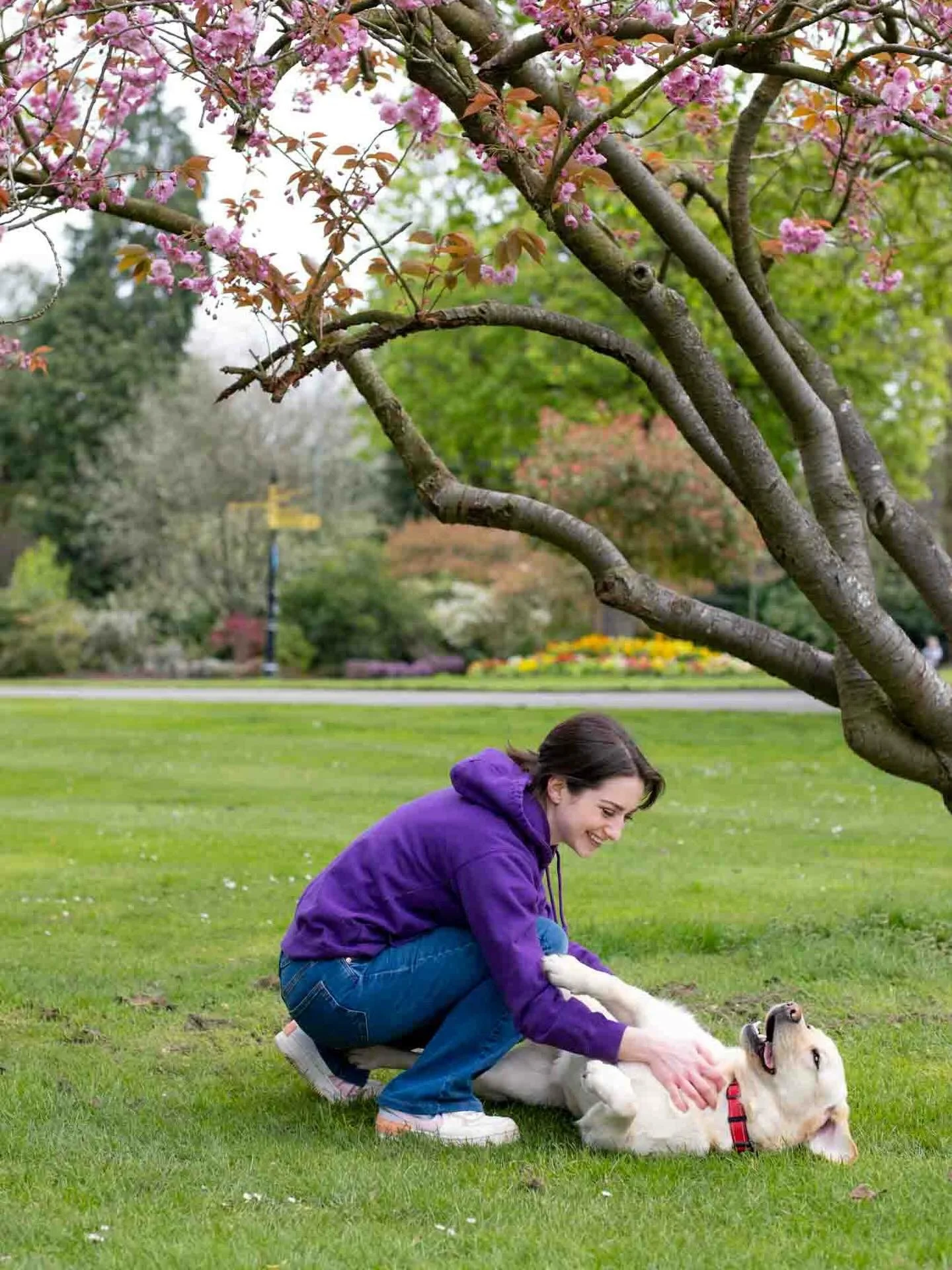 👋 Meet your trainer &mdash; I&rsquo;m Kris!

I&rsquo;m a certified dog trainer, dog walker, and former professional dog photographer 📸🐾
 And The Mojo Method was born from one very special dog &mdash; our lockdown Labrador, Mojo 💛

Working as a do