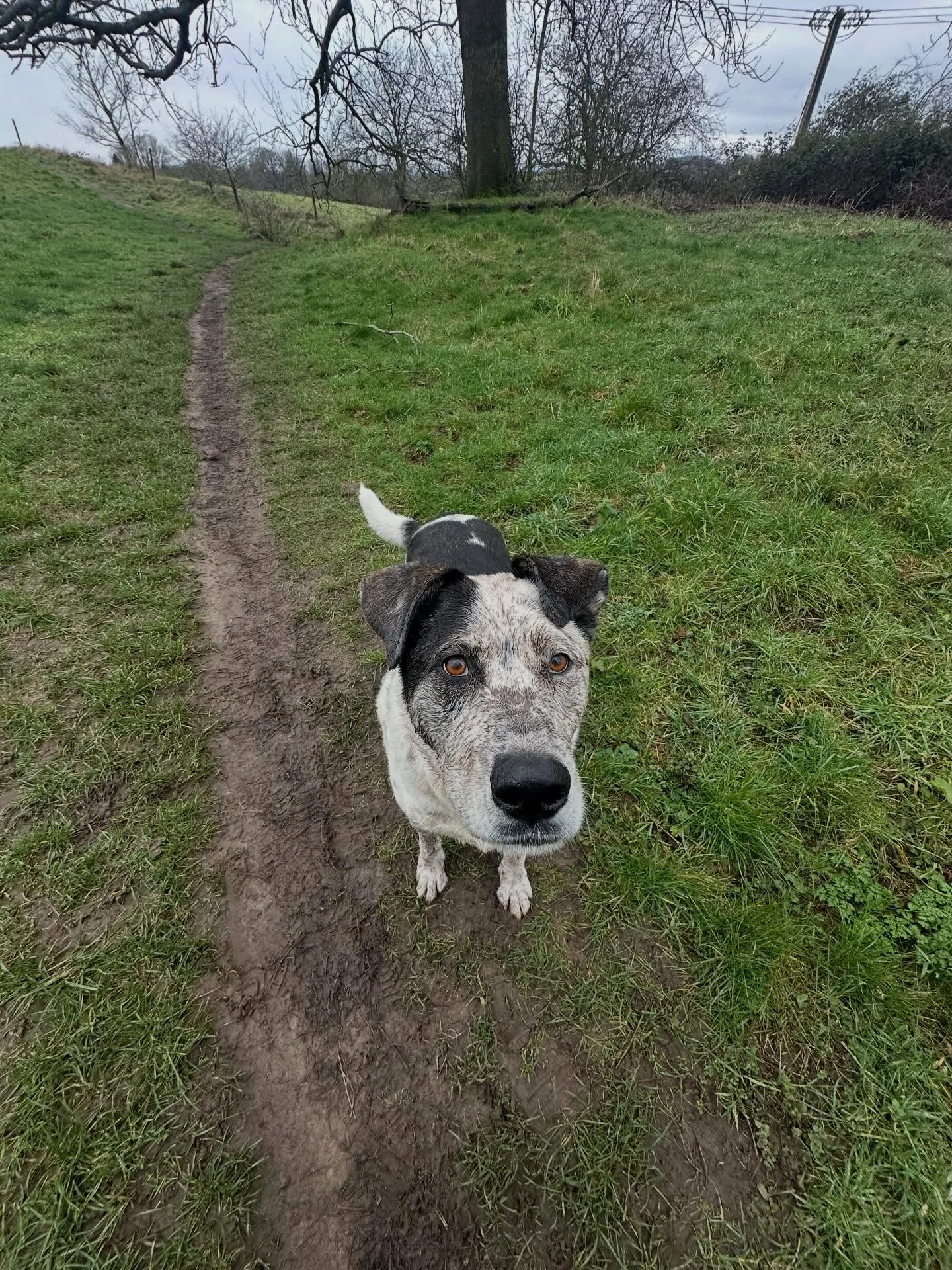 🚨 IMPORTANT BUSINESS MATTER 🚨

Comment your favourite boop below 👃🐾

(Extra points if you name whose nose belongs to who.)