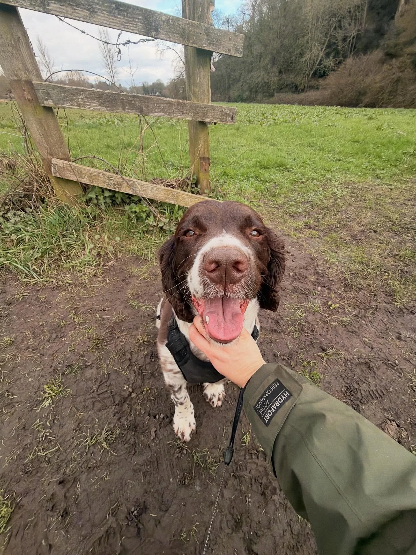 WEEKLY ROUND UP 🐶✨

Another gorgeous week with my little pack 💜

Mud ✔️
Sniffs ✔️
Loose leads ✔️
Happy tails ✔️

I honestly feel so lucky to spend my days with these faces 🥹

Which walk would your dog have loved most this week? 👇🐾
And if you&rsq