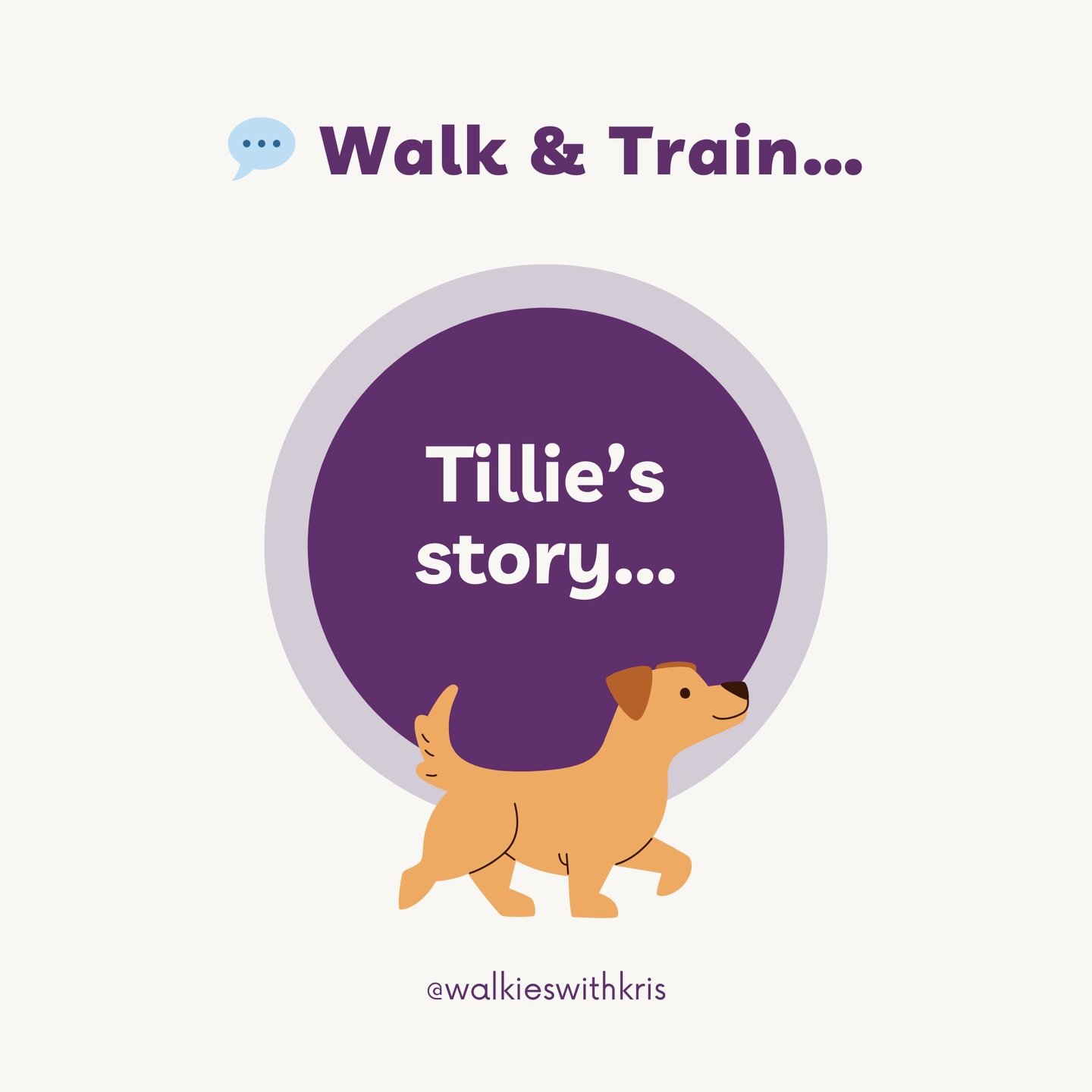 Tillie&rsquo;s progress has been such a joy to see 🐾

When Tillie first started her Walk &amp; Train sessions, walks were a bit of a challenge and not always enjoyable for her owners. 

Over our x5 sessions together, we focused on understanding her 