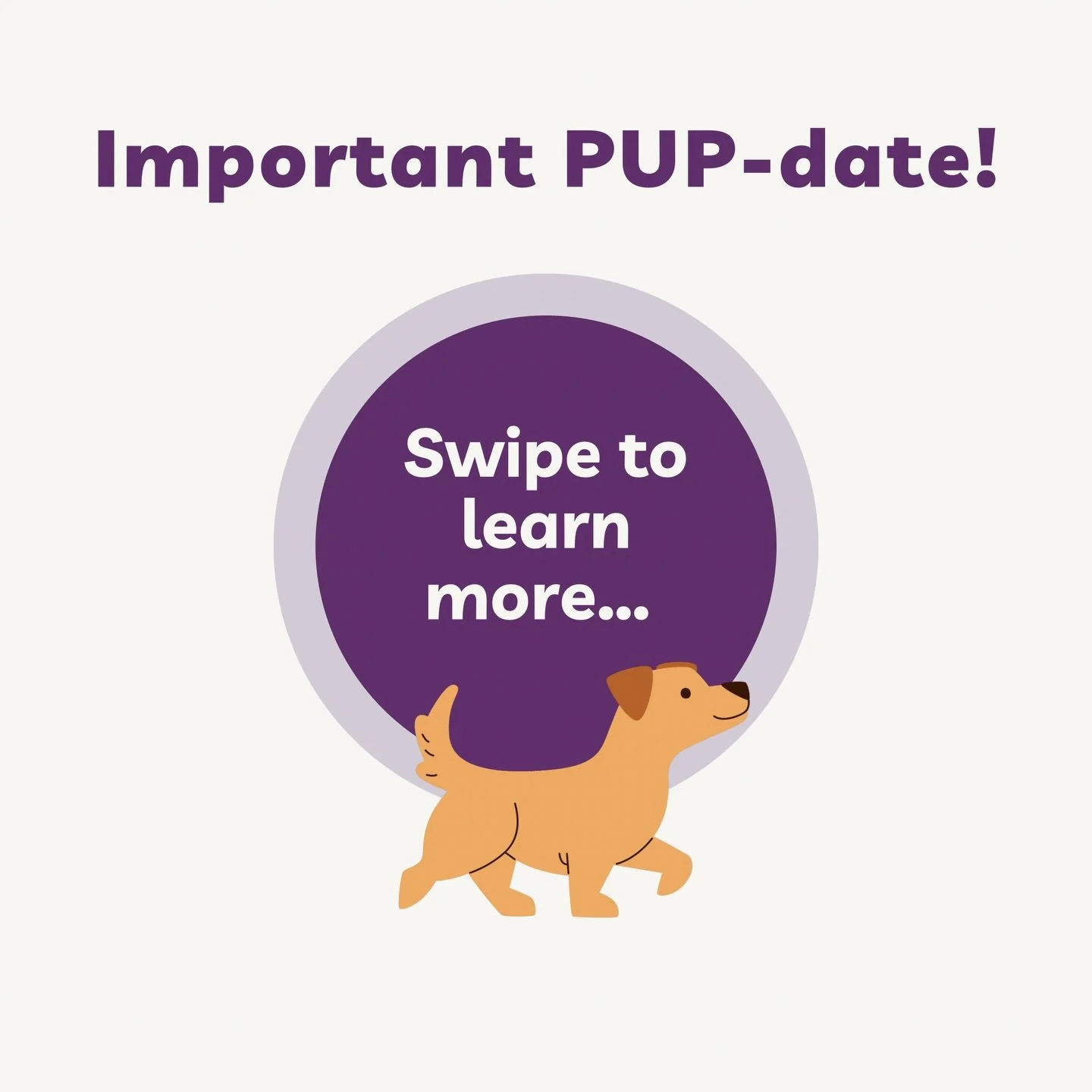 📢 PUP-DATE! 📢

🐾 Dog training classes launching in Belbroughton! 🐾

Alongside Walkies With Kris, I also run my dog training business @mojomethoddogtraining &mdash; and I&rsquo;m excited to be launching my first 6-week Calm &amp; Focus Clicker tra