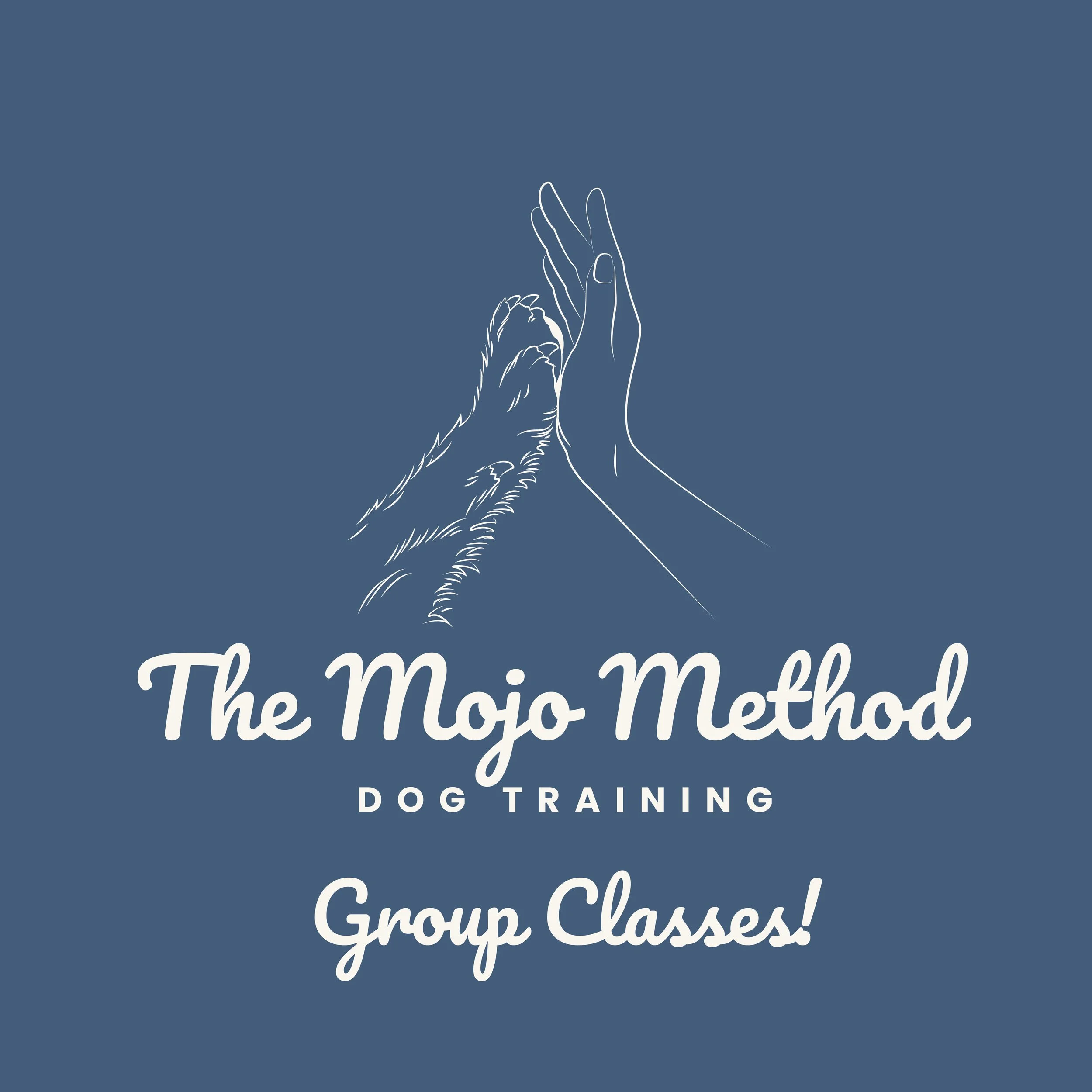 Calm &amp; Focus: Clicker Foundations – New Dog Training Class in Belbroughton