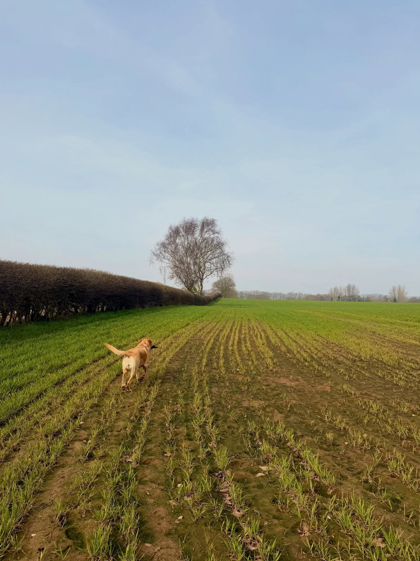 Another brilliant week with the Walkies With Kris Pack! 🐾

Next week will actually be a quiet one because I&rsquo;m taking my first break of 2026 &mdash; no walkies next week! I&rsquo;ll definitely miss the pack, but I&rsquo;m looking forward to a l