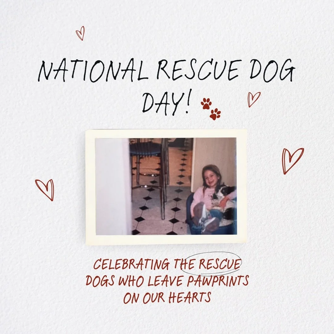 Today is National Rescue Dog Day 🐾❤️

And rescue dogs will always have a special place in my heart.

I&rsquo;ve had rescue dogs in my own life growing up, and now I&rsquo;m lucky enough to have one in the Walkies With Kris pack too. Every rescue dog