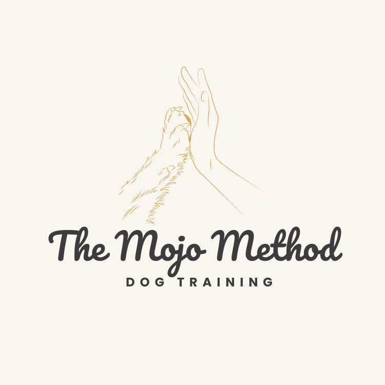 The-Mojo-Method-Dog-Training-Worcestershire4.png