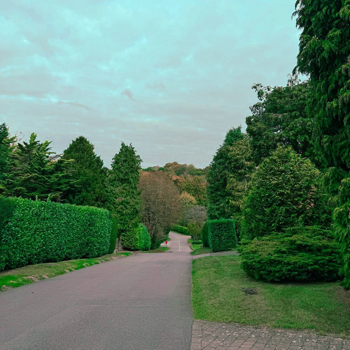 082ff619-1578-44b4-bd56-52d6e64345f2.jpg