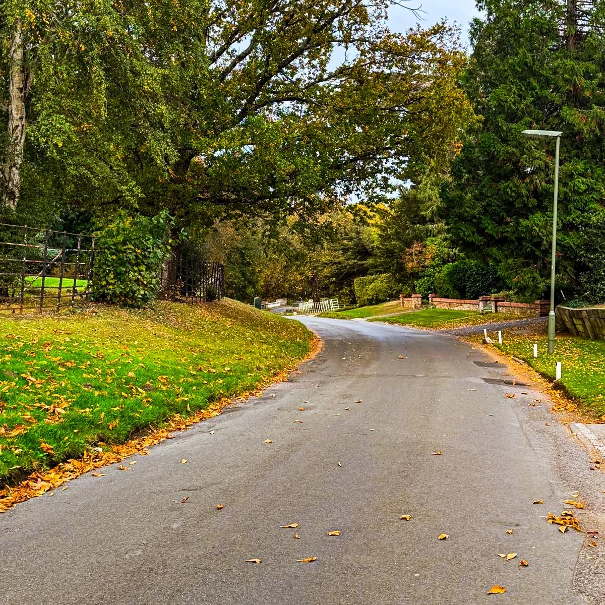 47f45d06-1fc5-46f0-a423-868fd610da5b.jpg