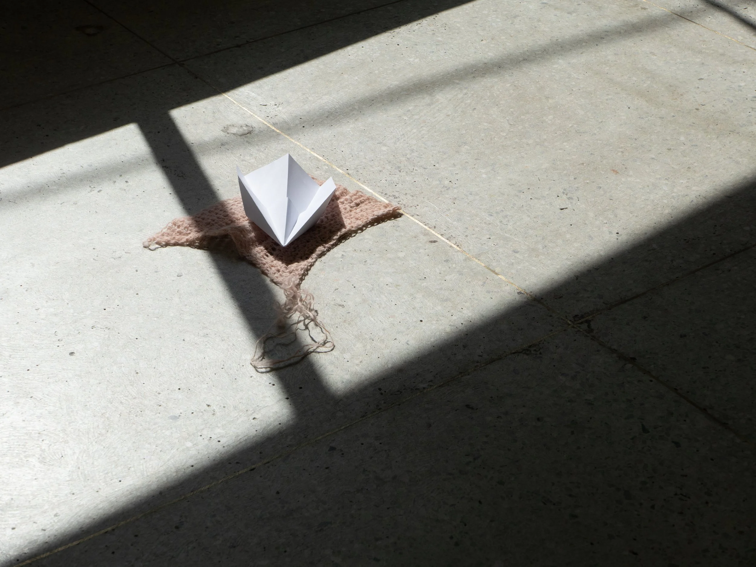 L1060823.jpg