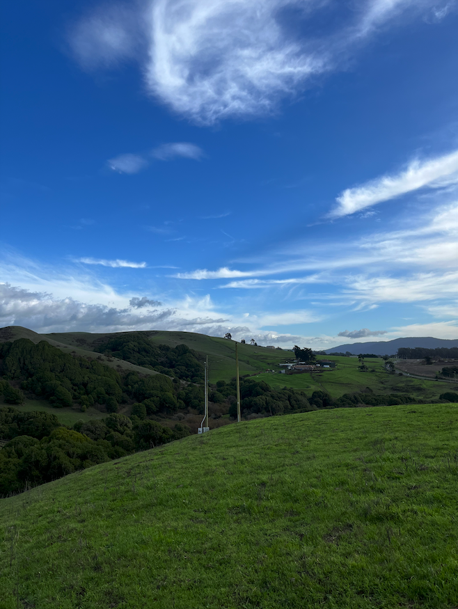 Screenshot 2025-11-20 at 9.24.19 PM.png